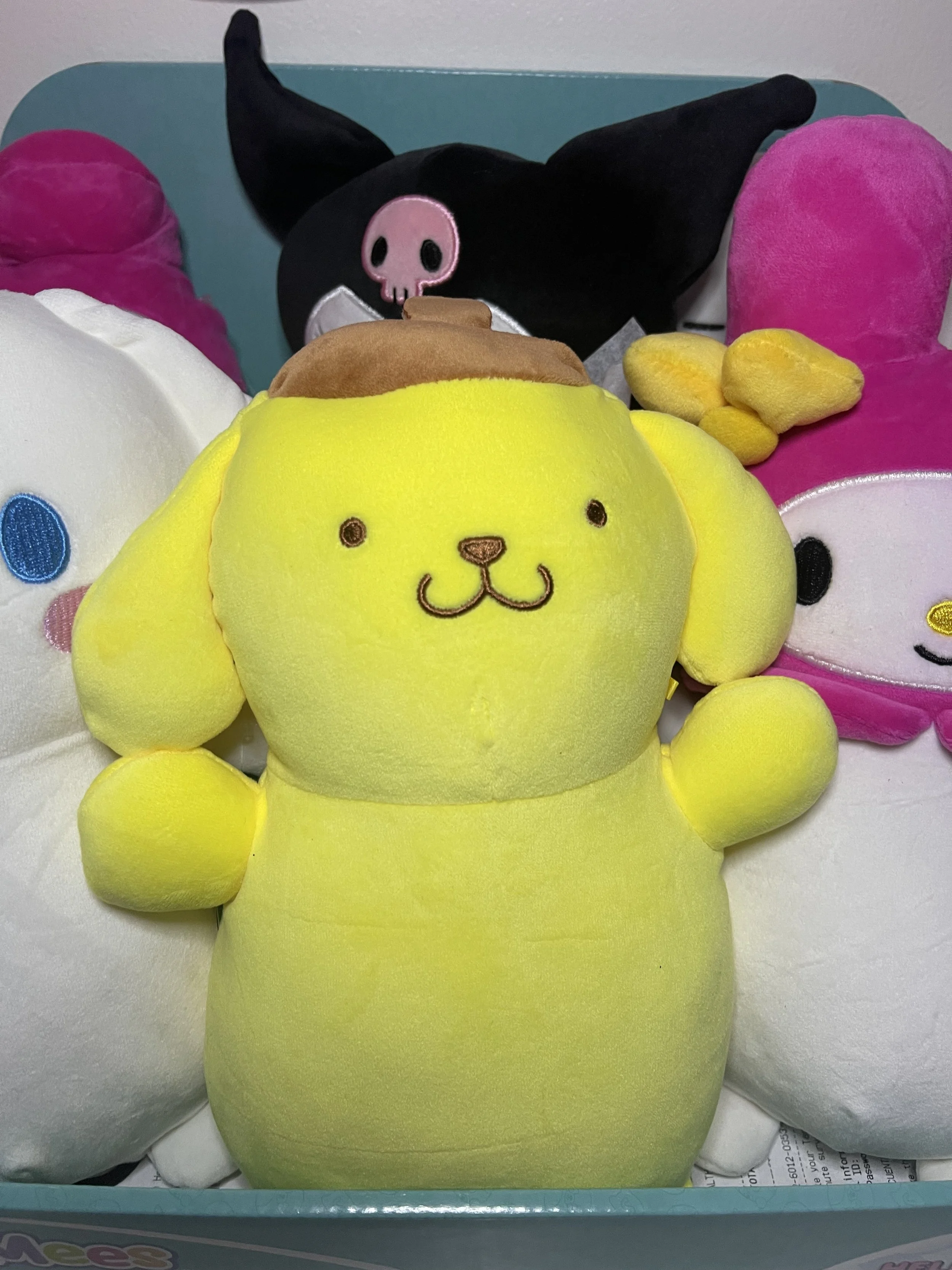 HUG ME (HELLO KITTY AND FRIENDS)