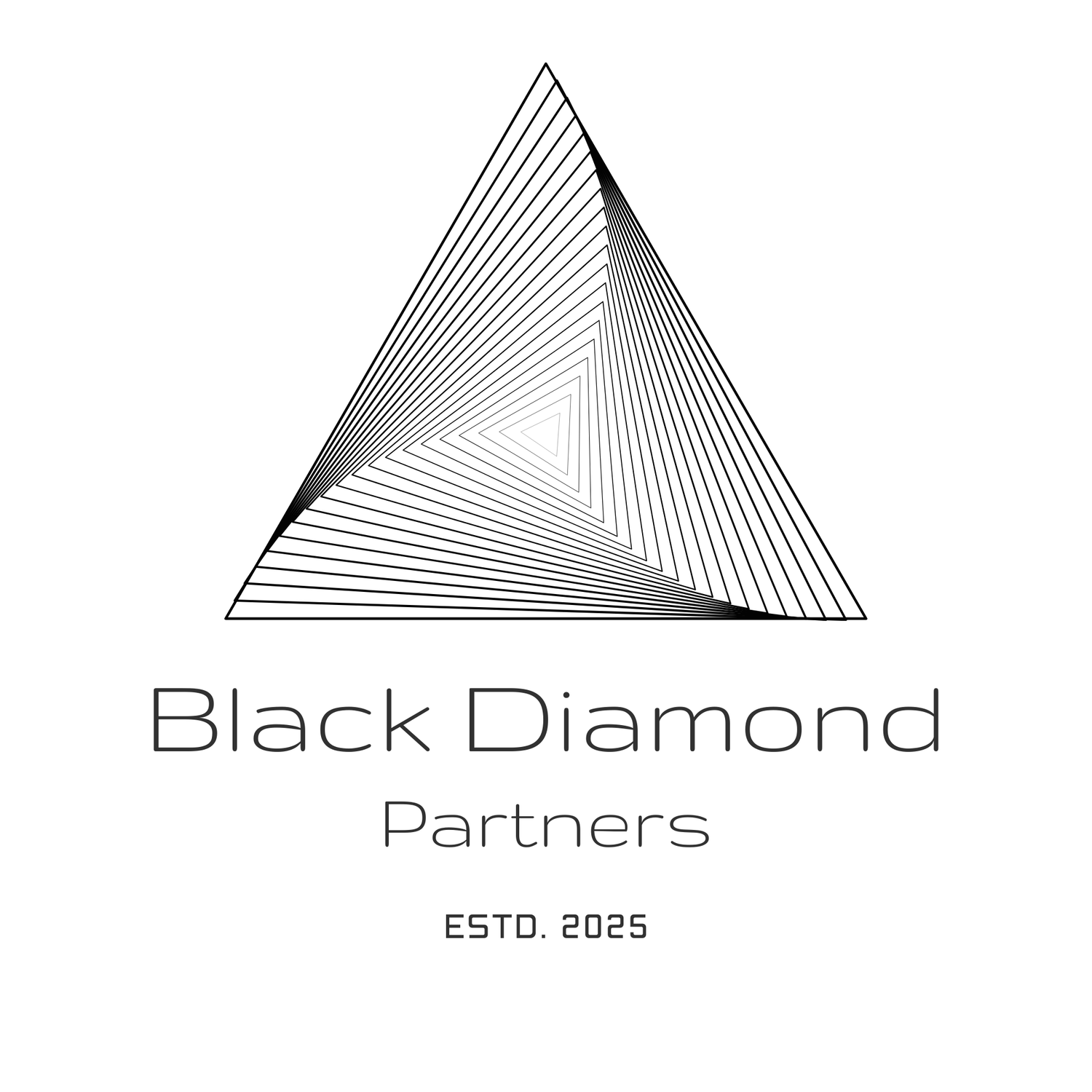 Black Diamond Partners