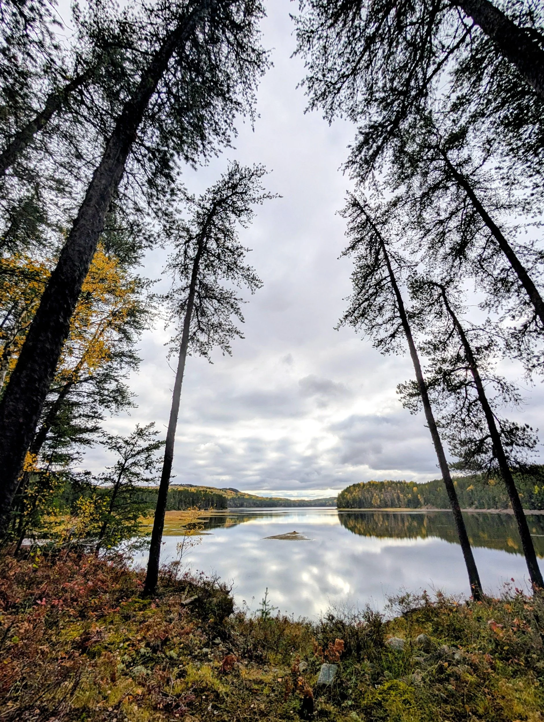 A view of a calm lake reflecting a cloudy sky, surrounded by trees with some leaves turning yellow, indicating fall.