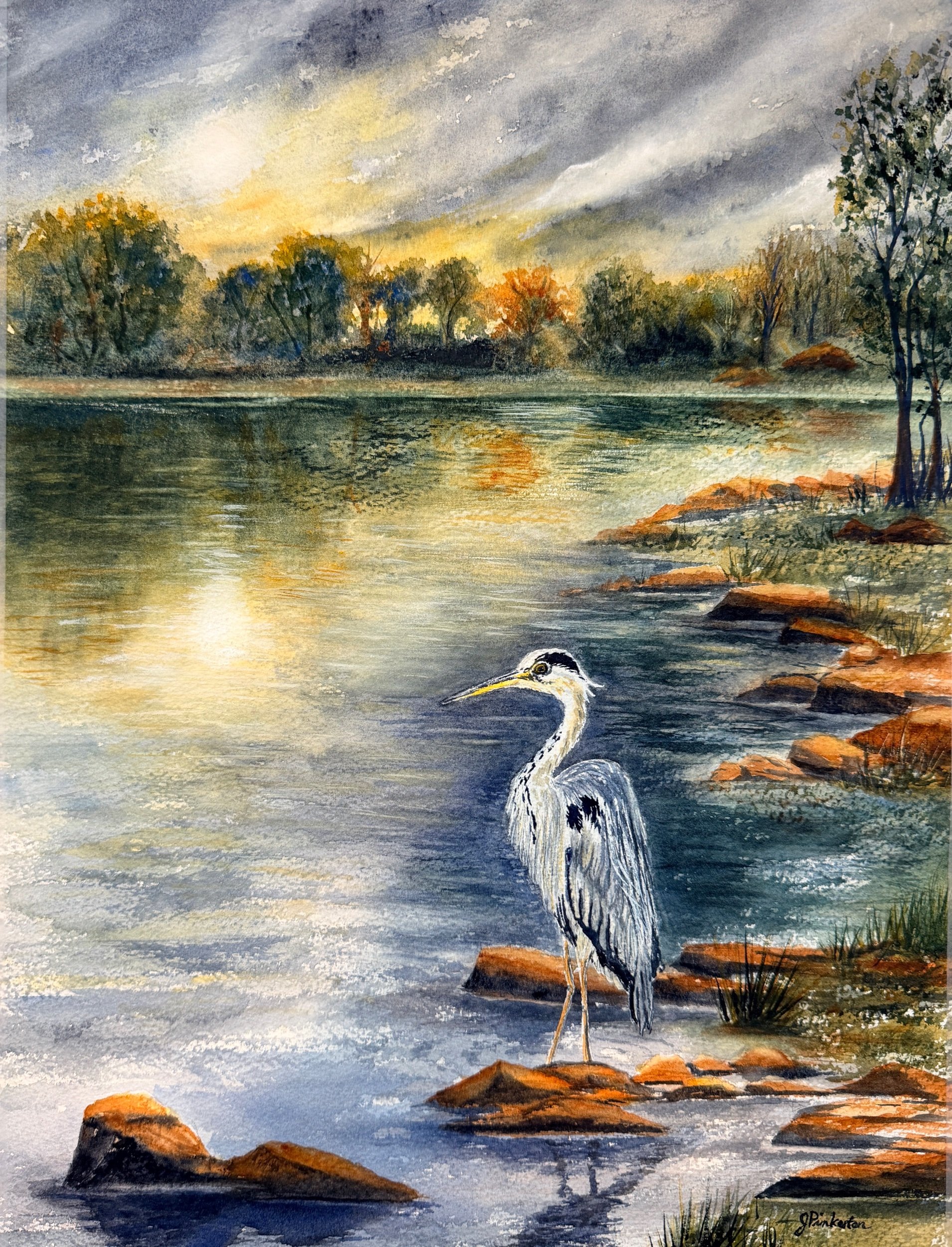 Heron Dreams - available, contact for details