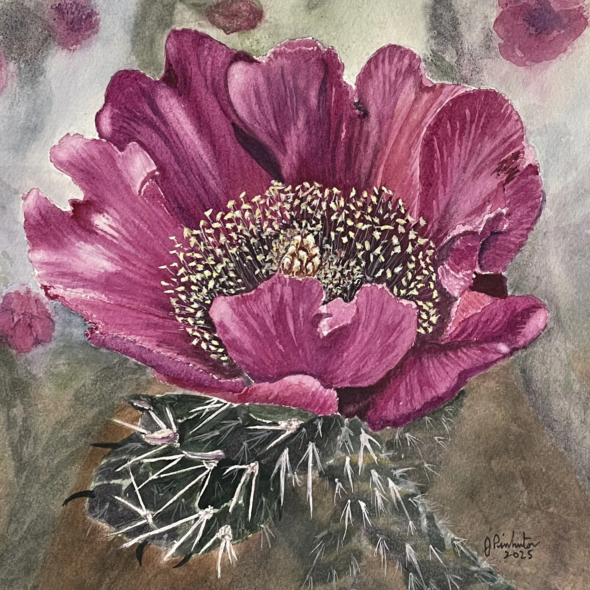 SOLD - Flowering Cholla - 8 x 8