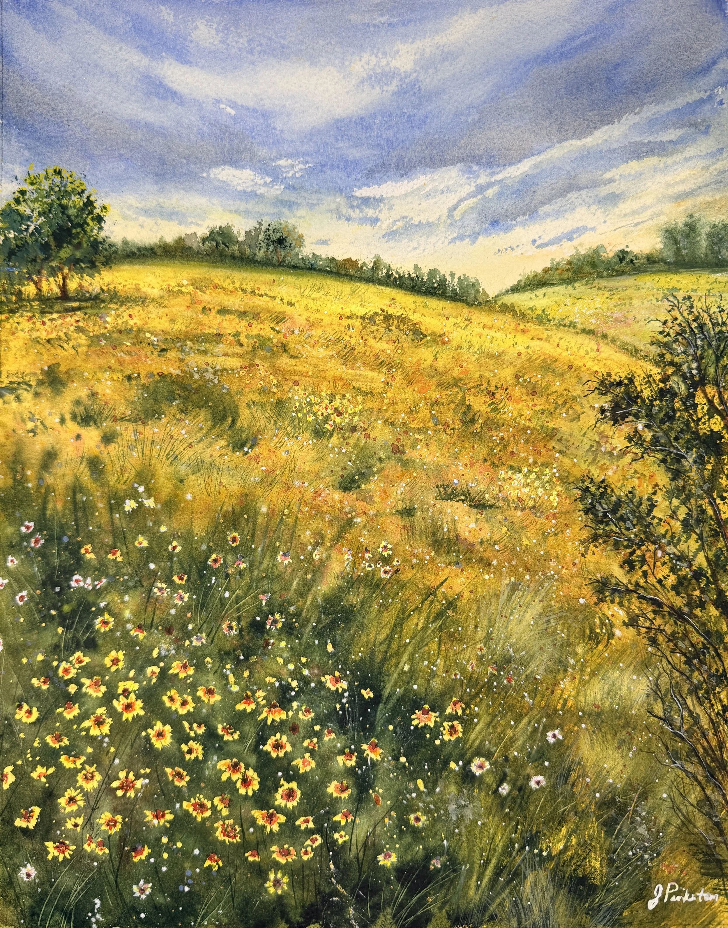 wildflower_hills_watercolor_landscape_splitstonestudio_pinkerton.jpeg