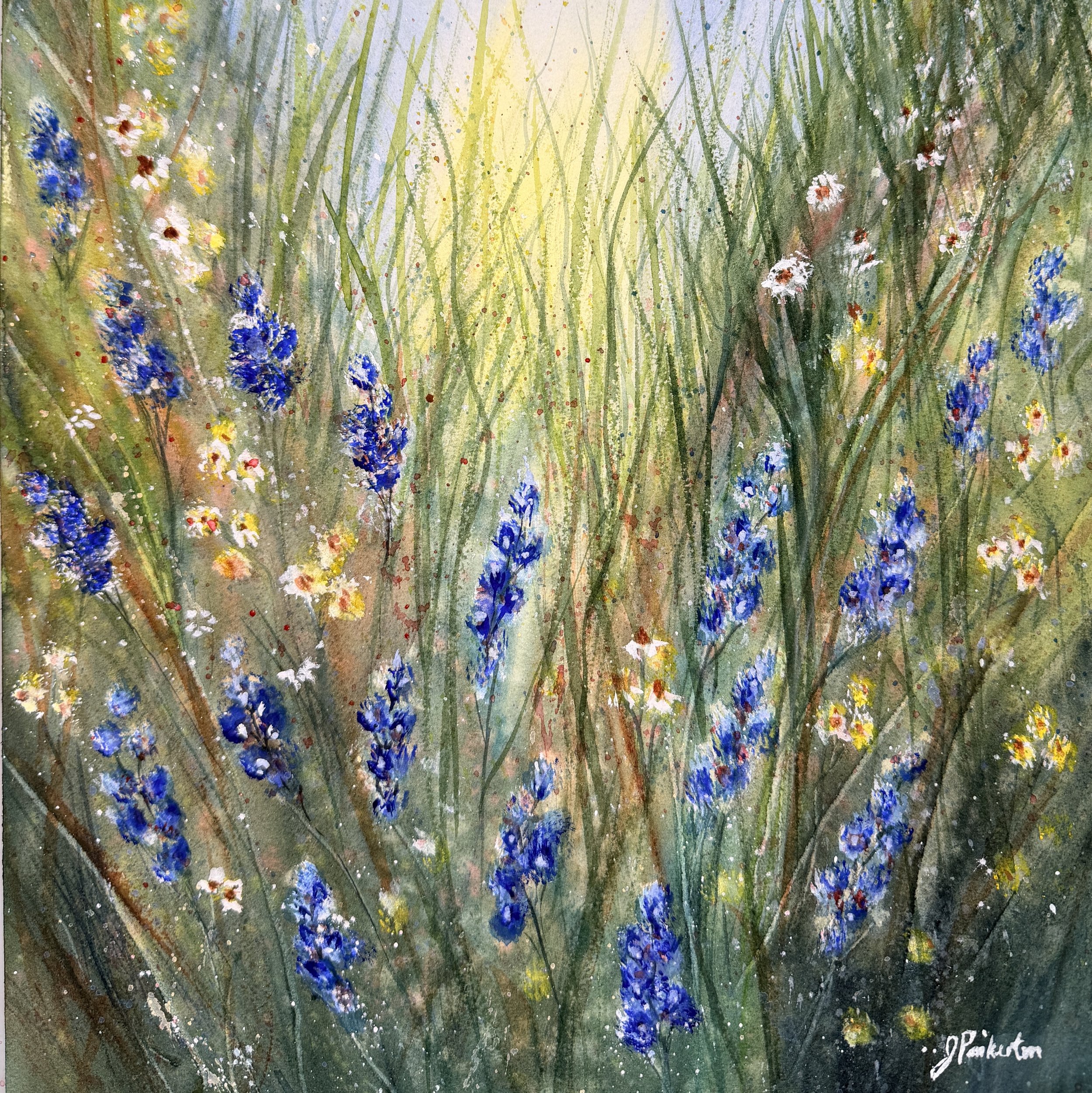 Sunny Meadow - SOLD