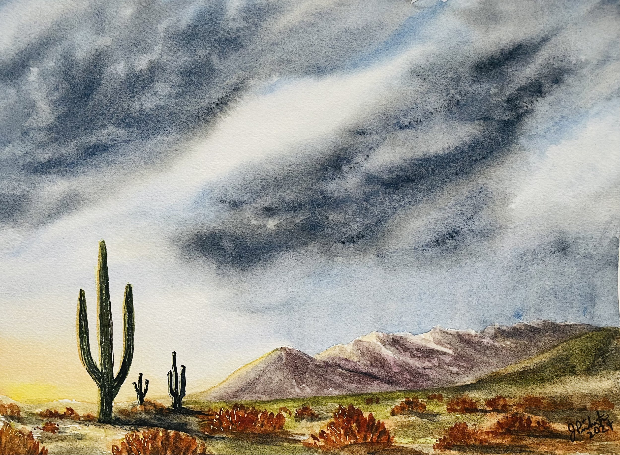 Cactus Sunrise - 9 x 12 - Mineral Wells Visitor Center, 250