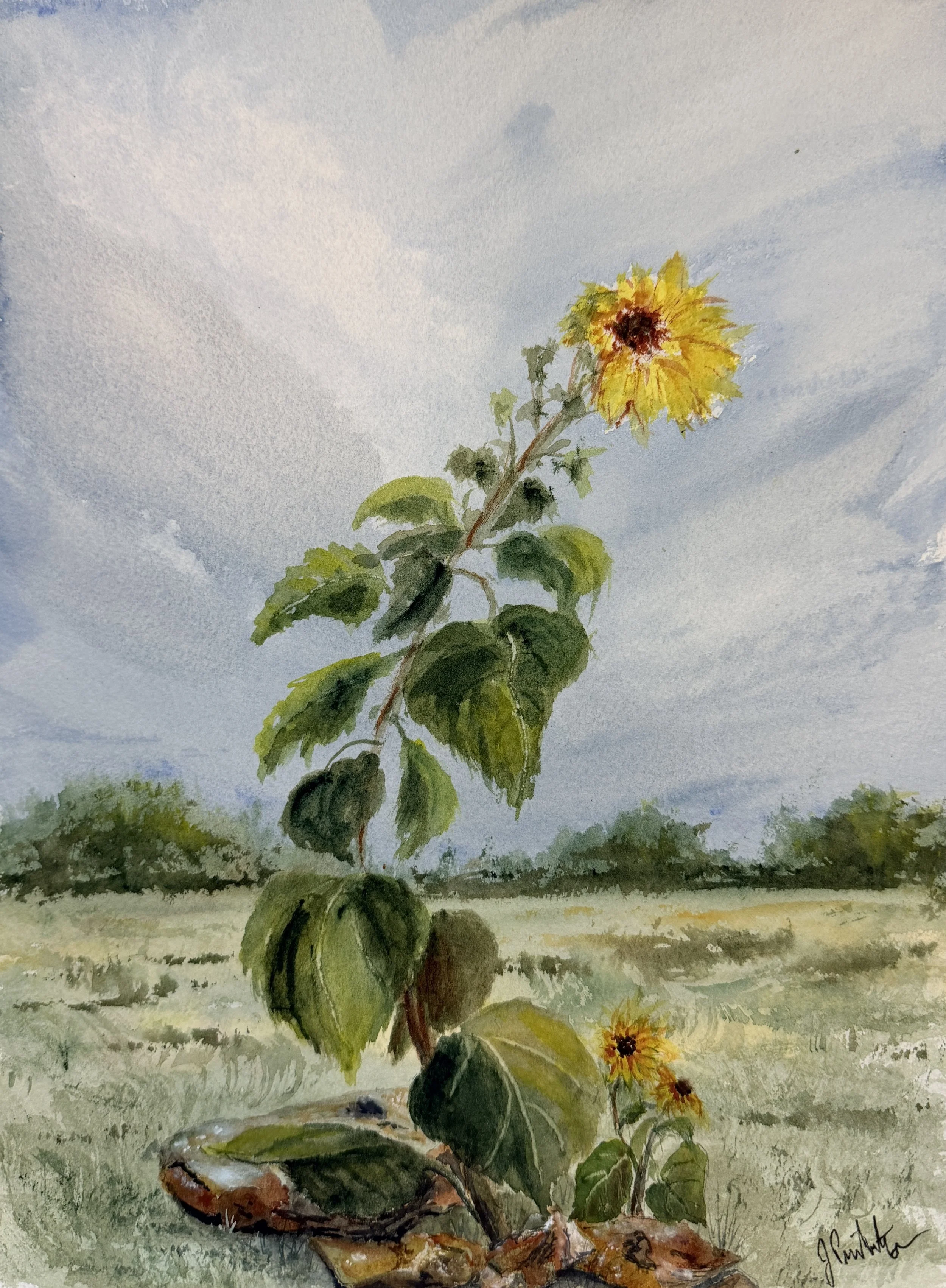 Volunteer - Original Watercolor Painting