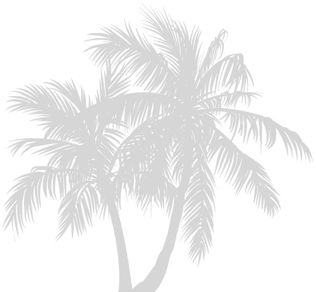 Silhouette of palm trees against a black background.