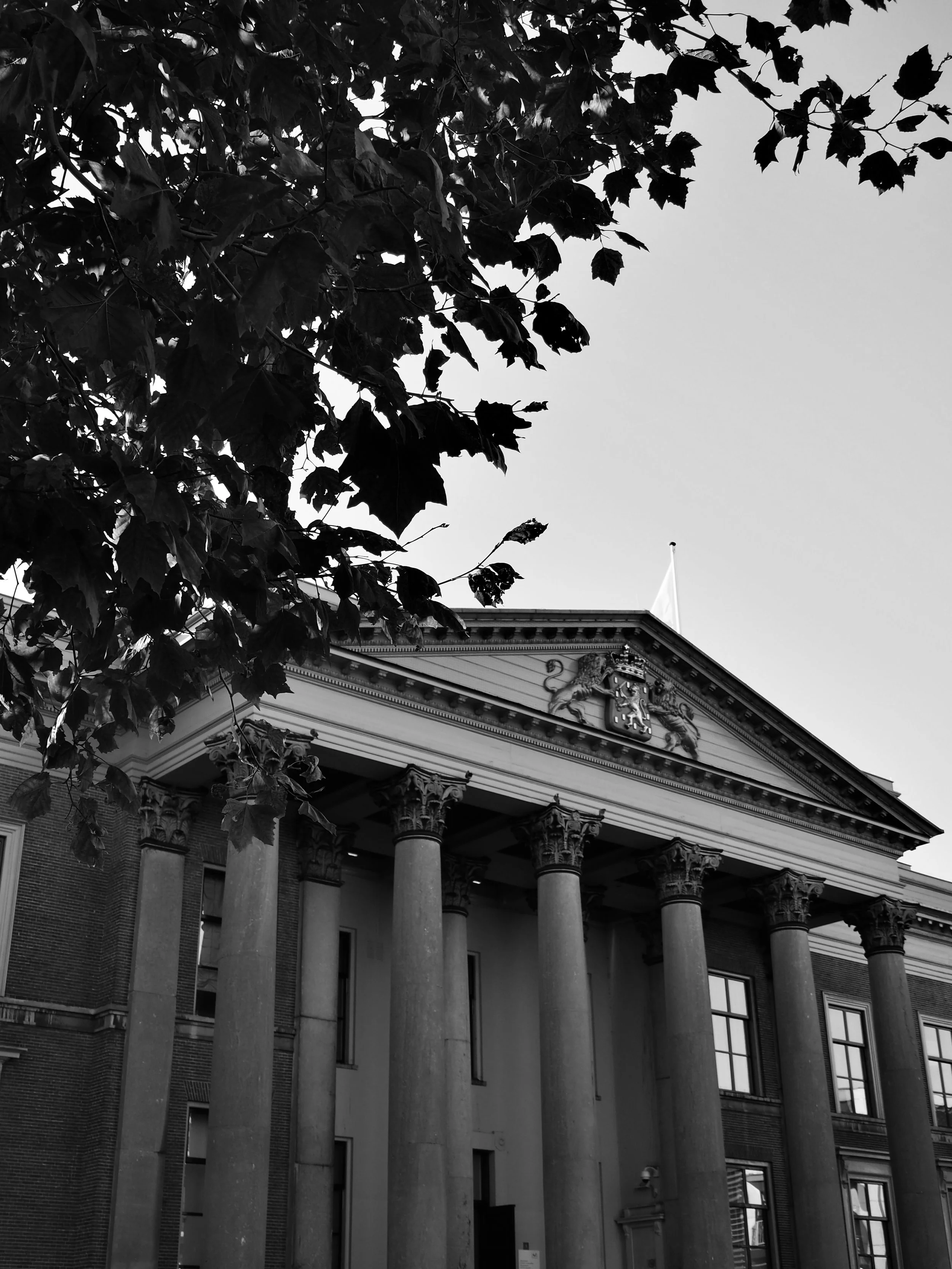 A black and white photo of a historic building with tall columns and decorative elements on the roof, partially obscured by tree leaves.