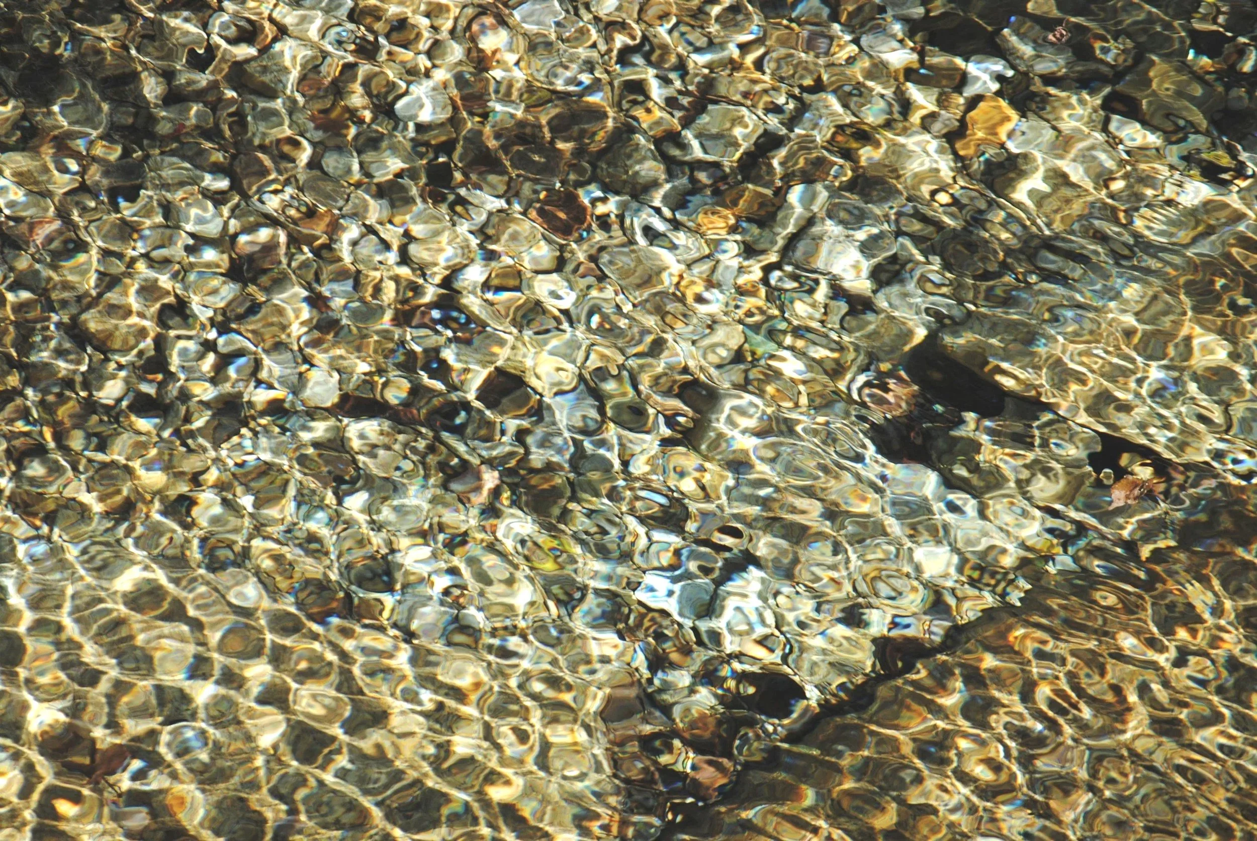 Close-up of small, multicolored pebbles submerged in clear water, with sunlight reflecting off the surface.
