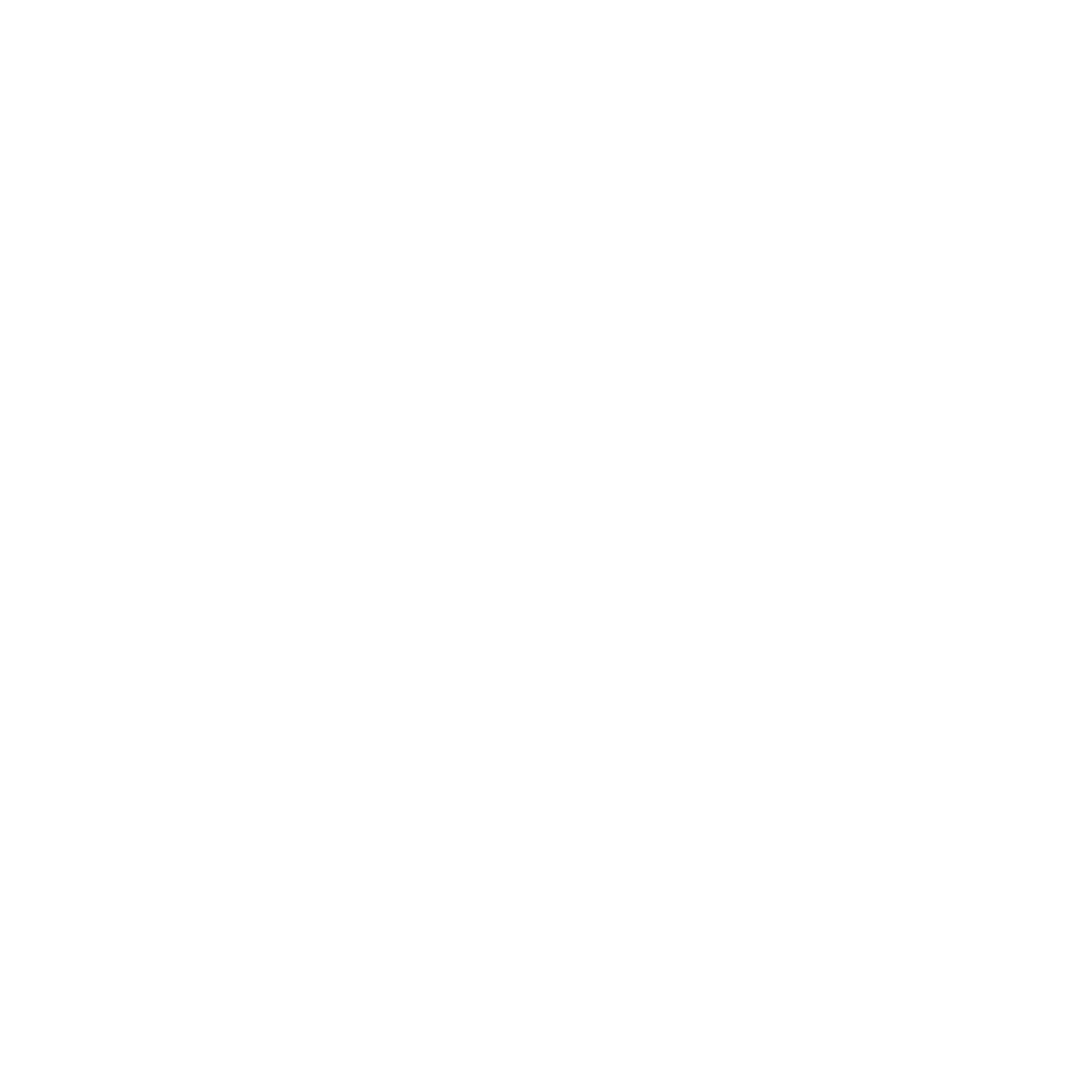 Wolfrise logo icon
