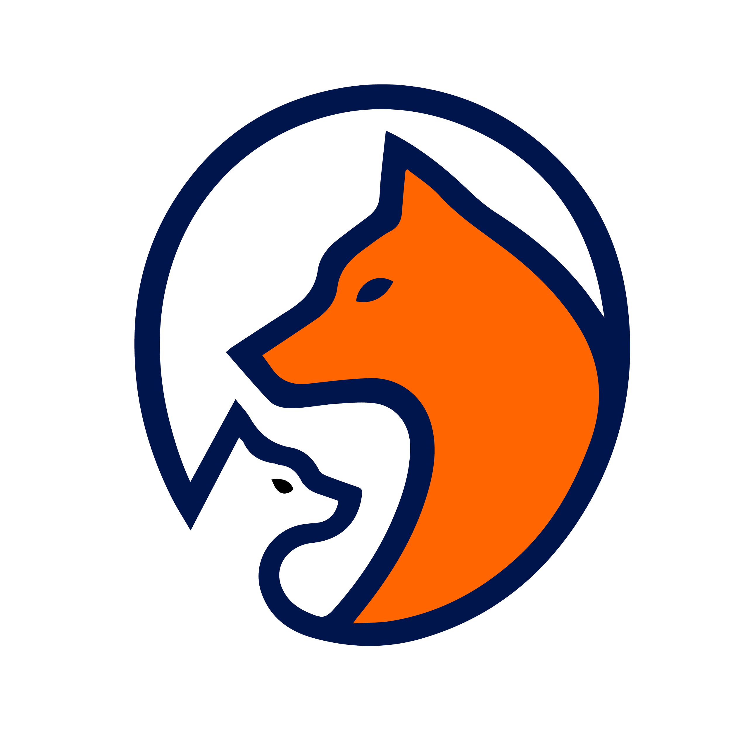 Wolfrise logo