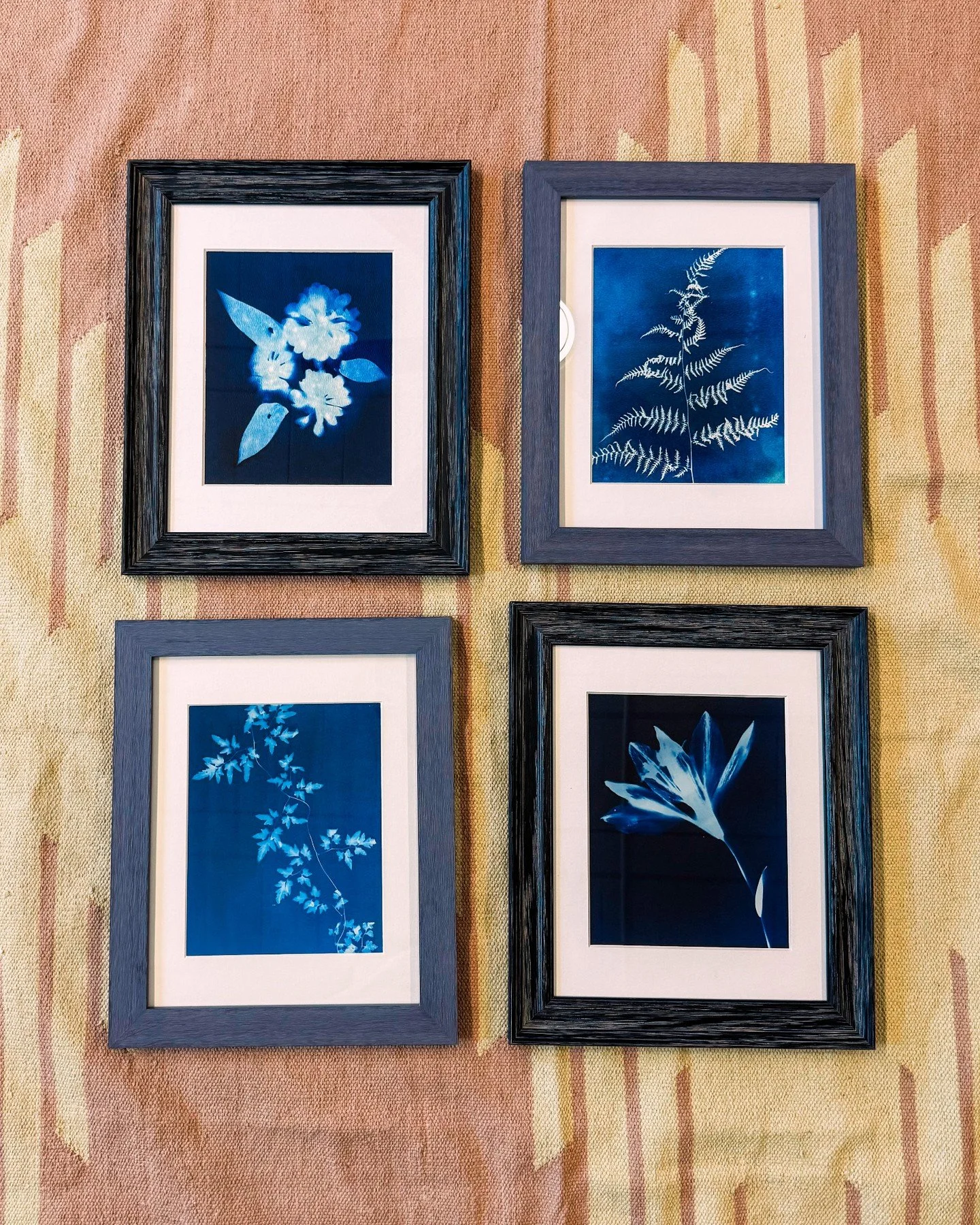 Artist Spotlight🎨
The art in Sophia's Center was intentionally chosen to inspire people in the space. I wanted to include art that shines a light on the wonder of nature and the power of storytelling

The cyanotypes by @marbreymyerscreative capture 