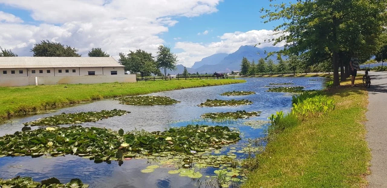 Un étang avec des nénuphars, entouré d'arbres, avec un bâtiment blanc à gauche et une montagne en arrière-plan, un chemin en right avec des personnes et un vélo.