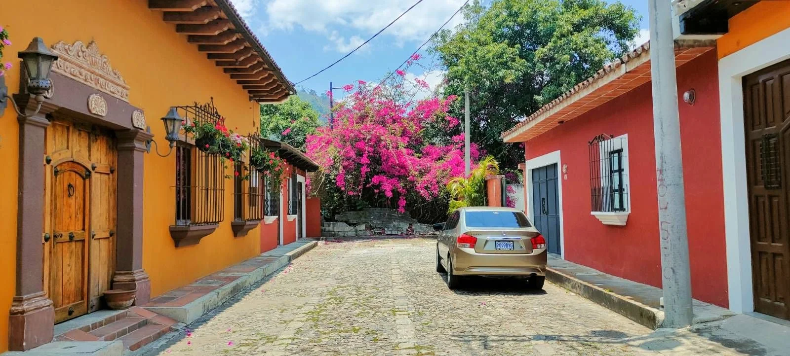 Rue pavée avec deux maisons colorées, une jaune à gauche et une rouge à droite, avec une voiture argentée garée. En arrière-plan, un arbre avec des fleurs roses éclatantes et un ciel bleu.