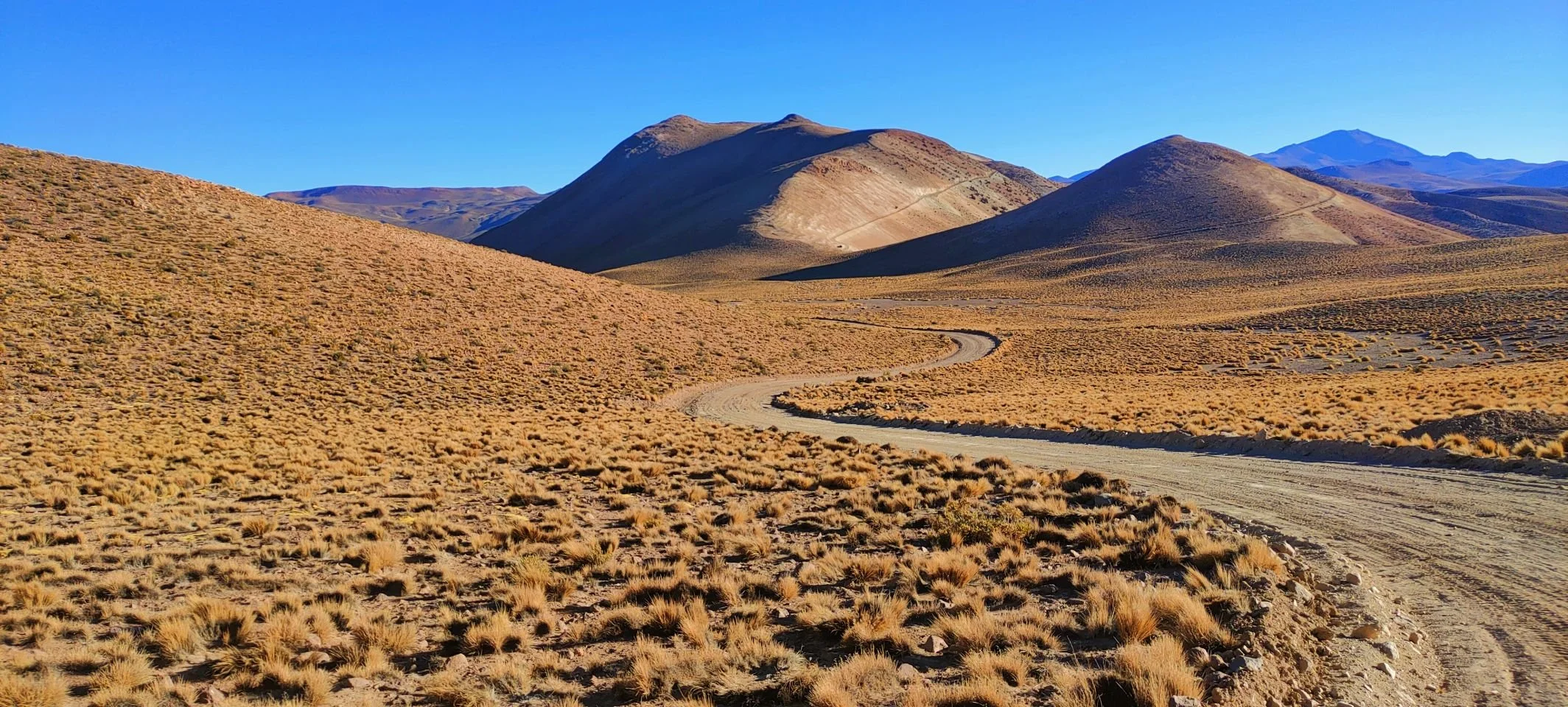 Paysage désertique avec des collines, un chemin sinueux et une végétation sèche, sous un ciel bleu clair.