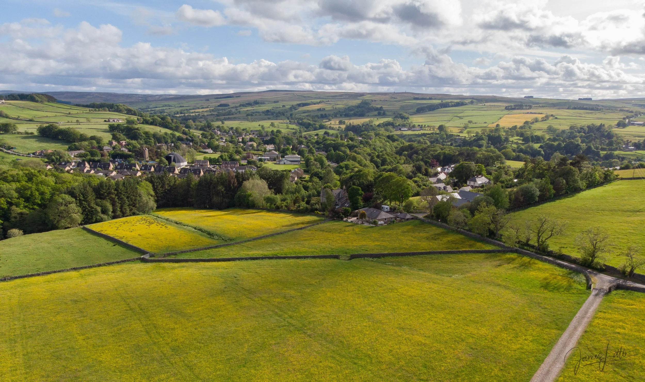 Buttercups light up the Allen Valley. A photo by James Little Photography