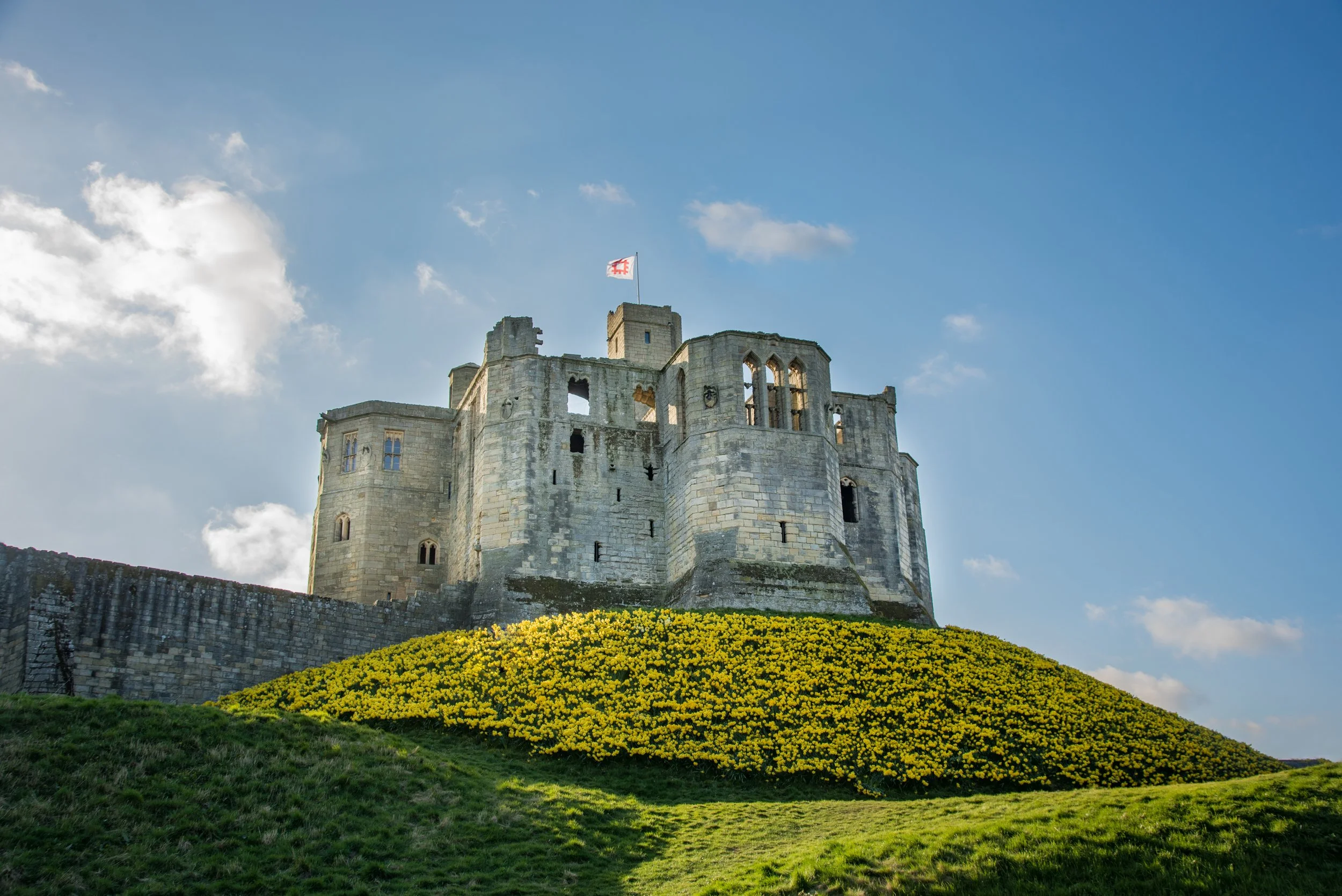Photographing Spring in Northumberland