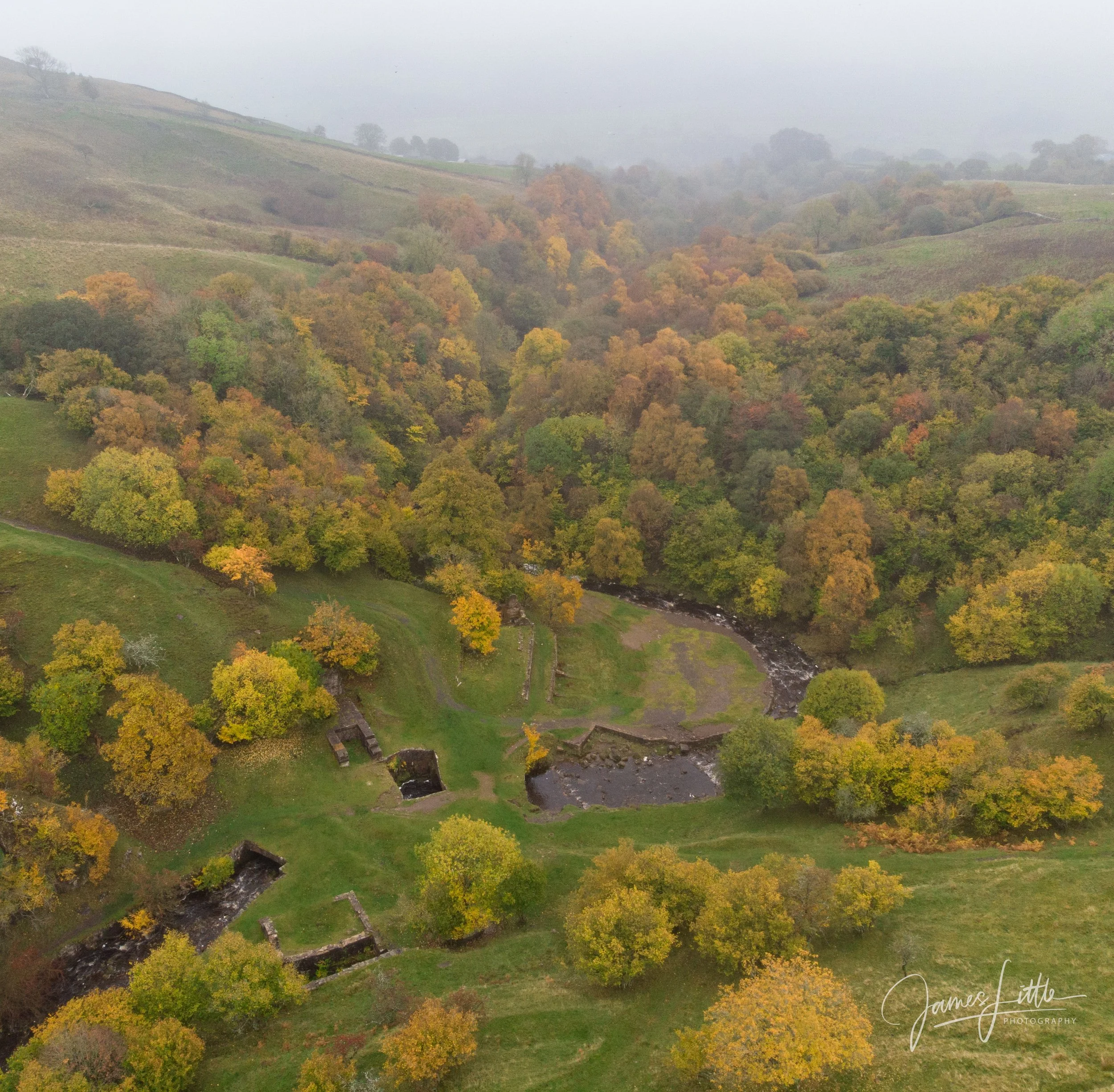 Looking down on the old mine workings at West Gate, Slit woods. 