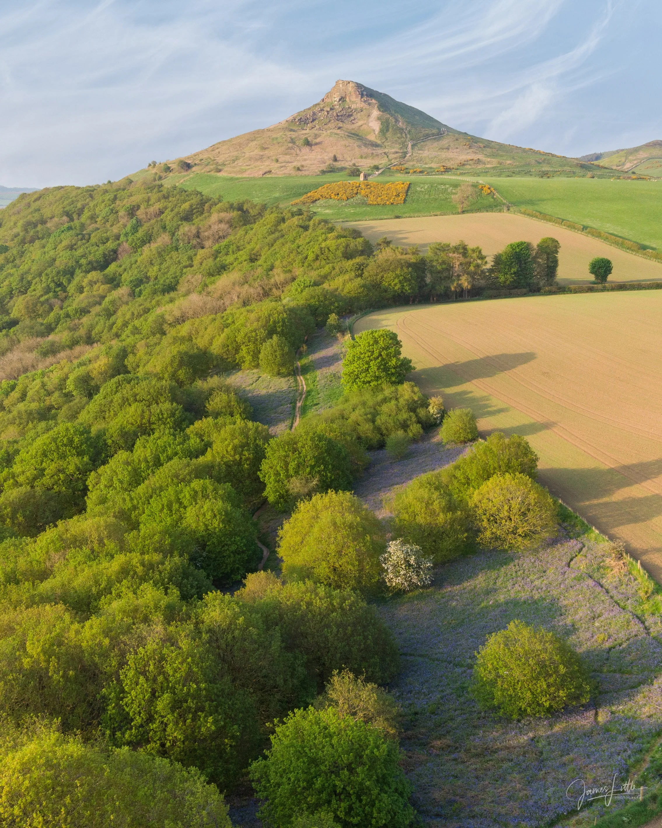 DJI_0239sdf.jpg