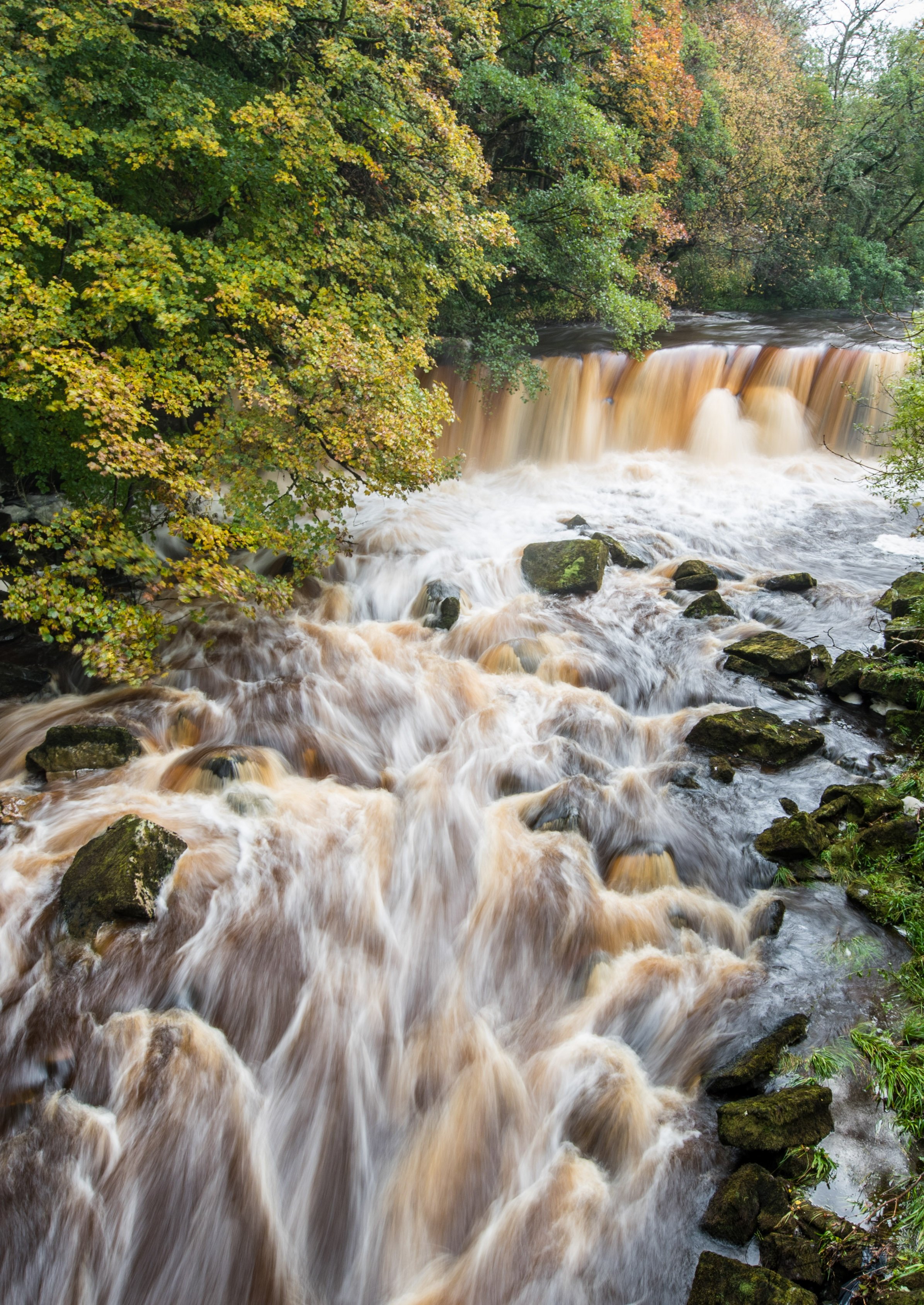 Holmes Linn Waterfall