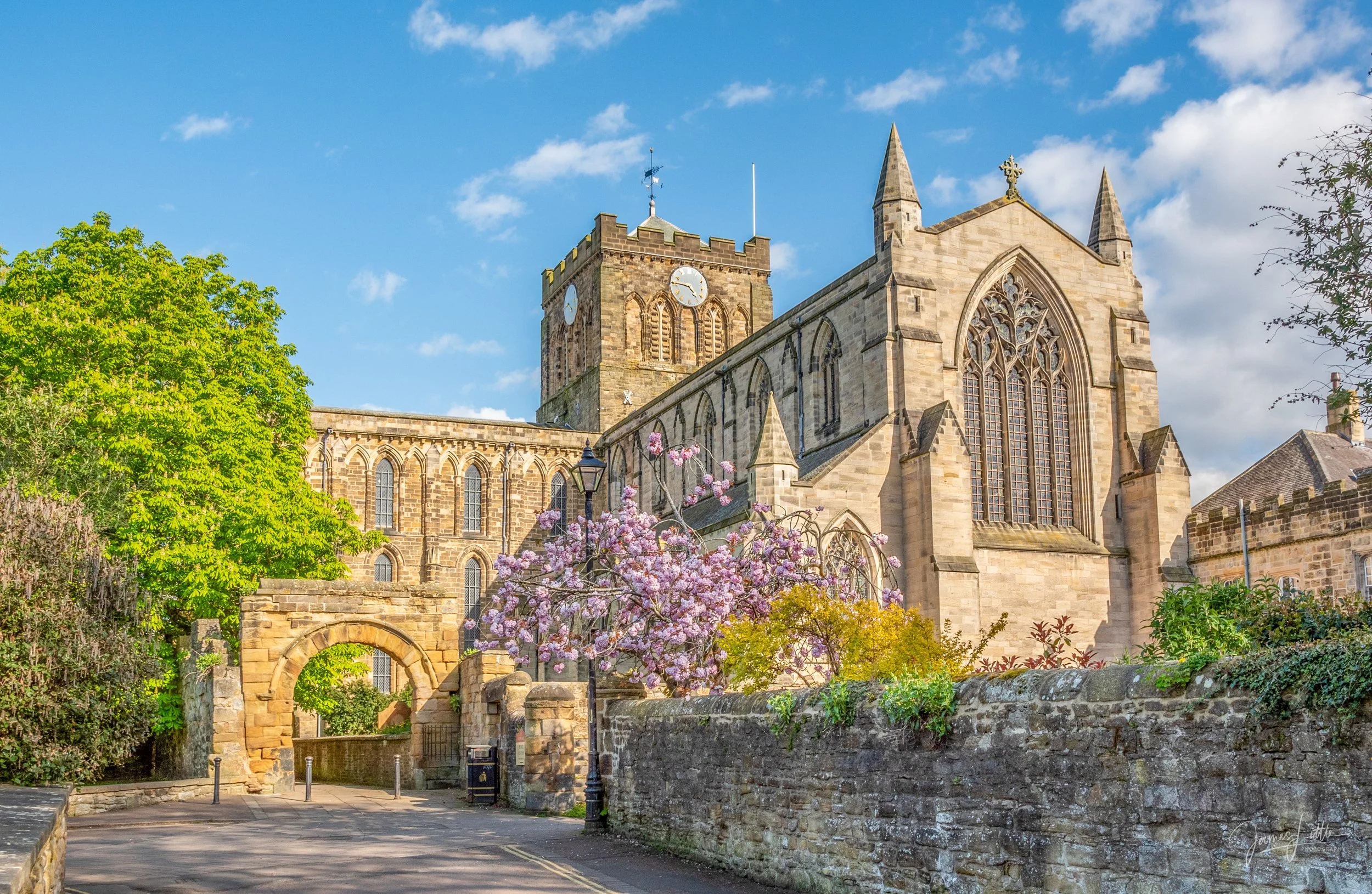 I had been want this photo with the blossom, Hexham abbey and blue sky for a while