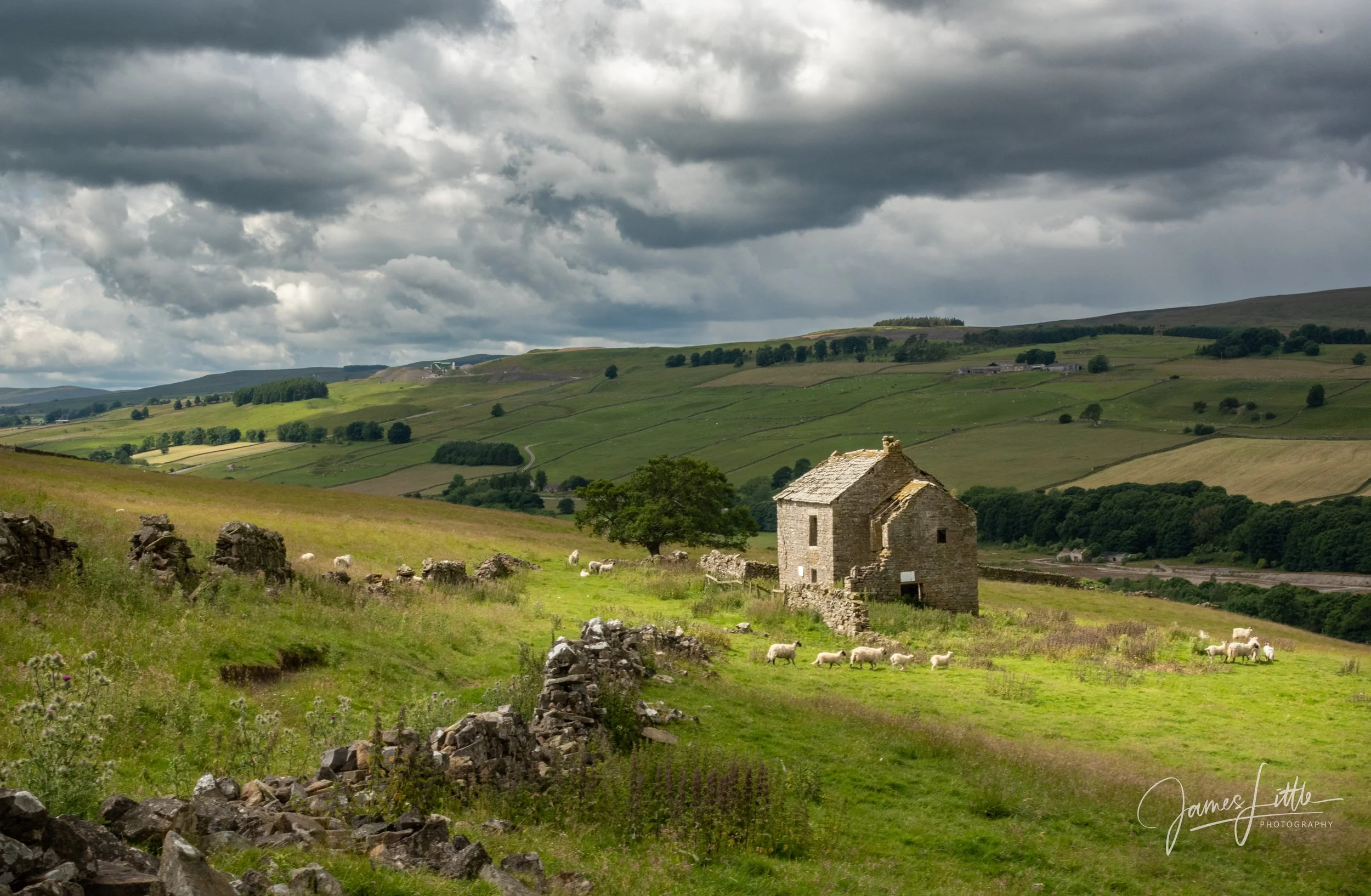 Spartalec House remains in the North Pennines AONB not far from Eastgate. Photo by James Little Photography