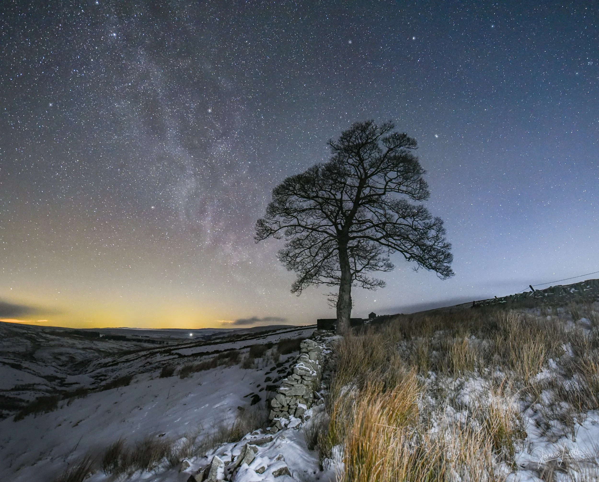 Loan tree, Carrshield on the Isaac's tea train path