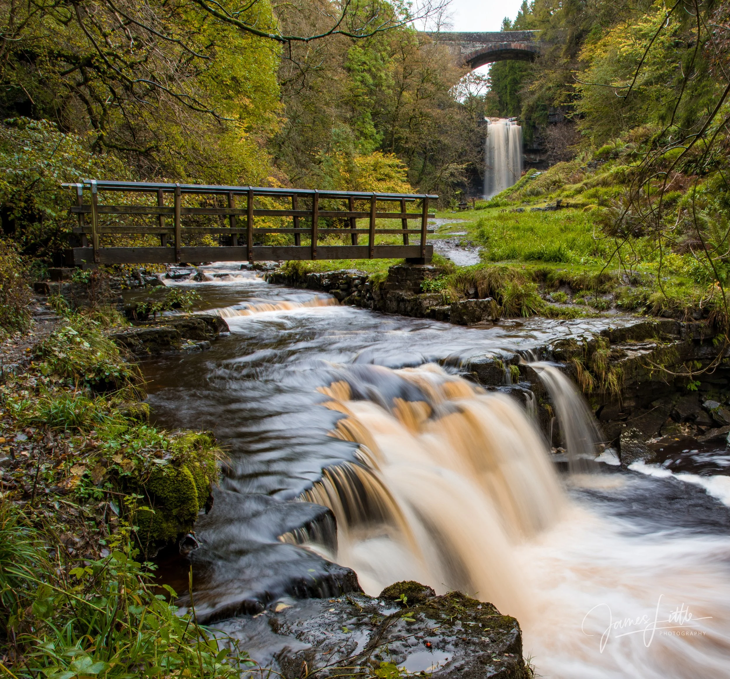 Ashgill Force near Garrigill 