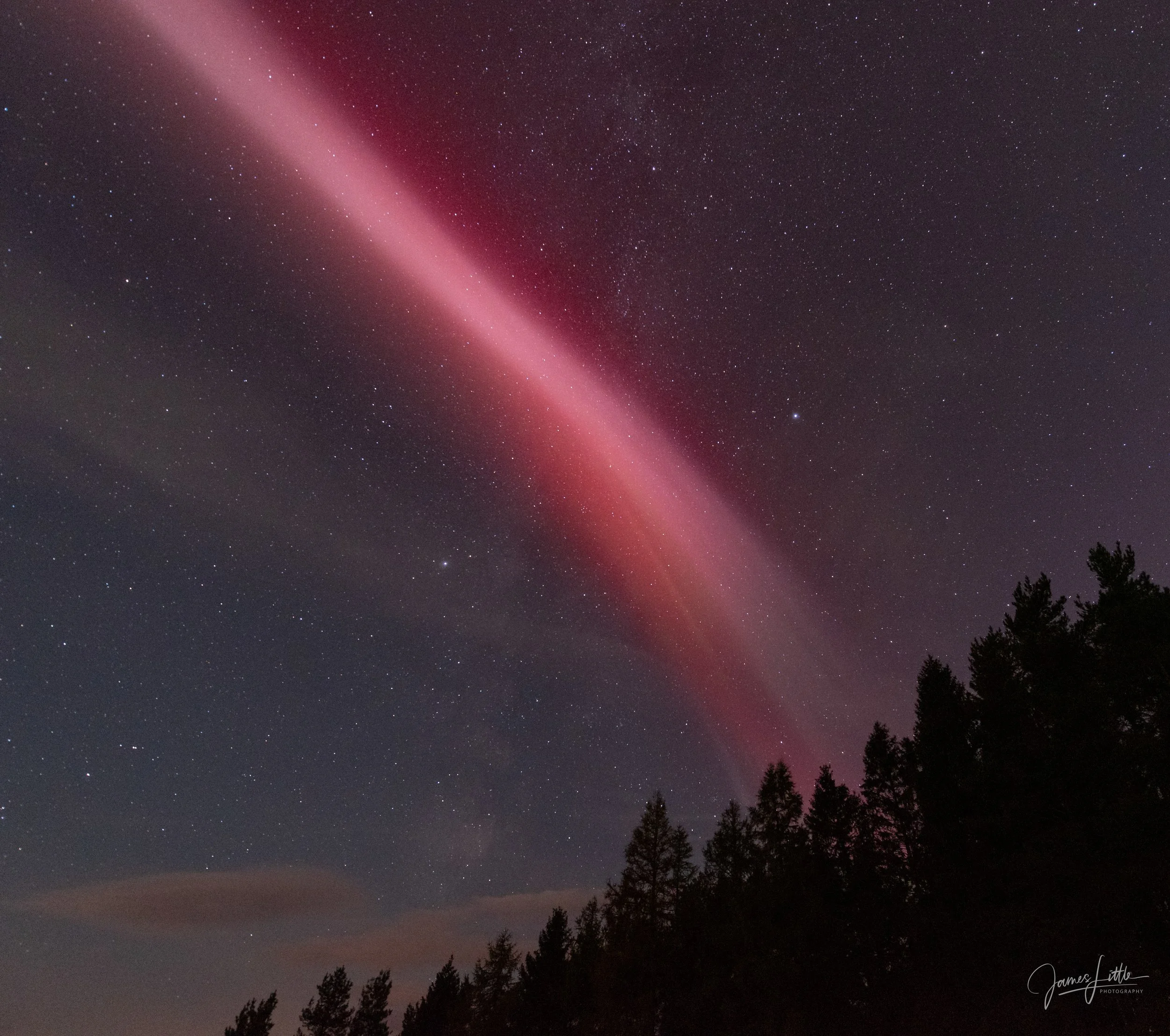 STEVE northern lights