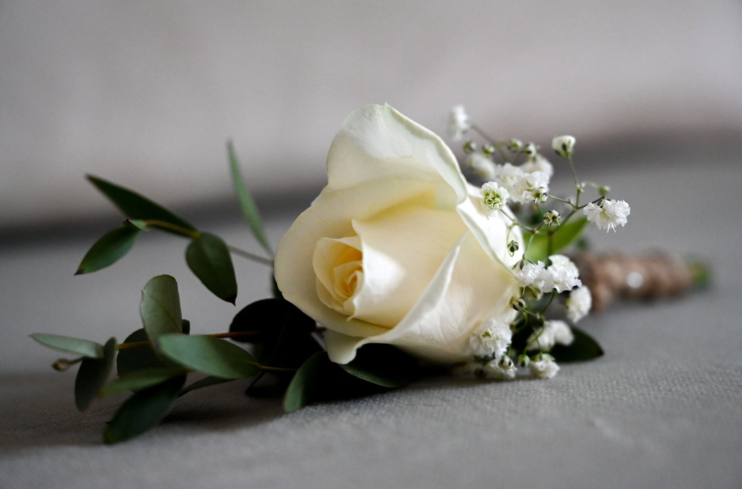 A cream-colored rose boutonniere with green leaves and small white flowers, resting on a gray surface.