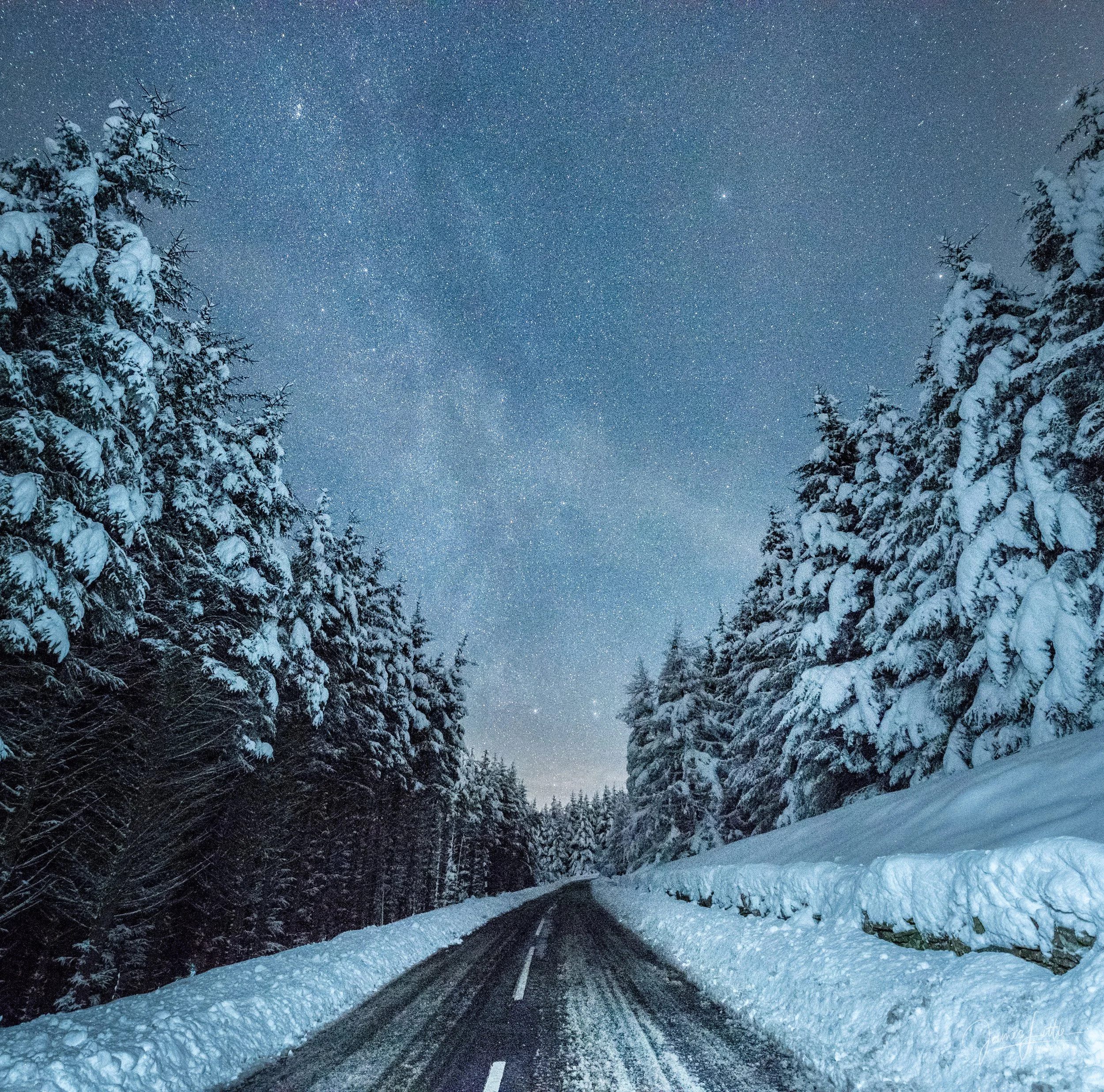 Allenheads before the trees got cut down
