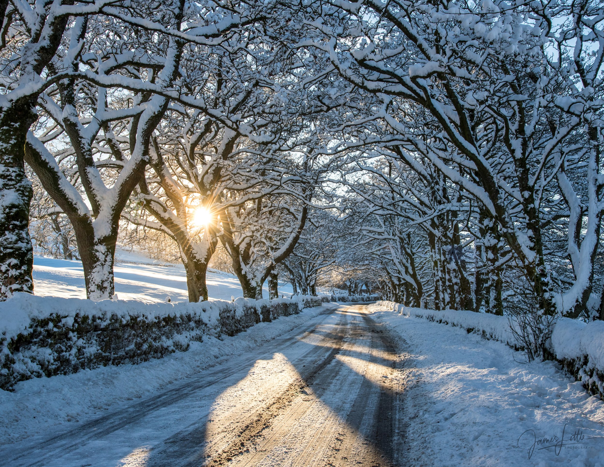 Carrshield in the snow