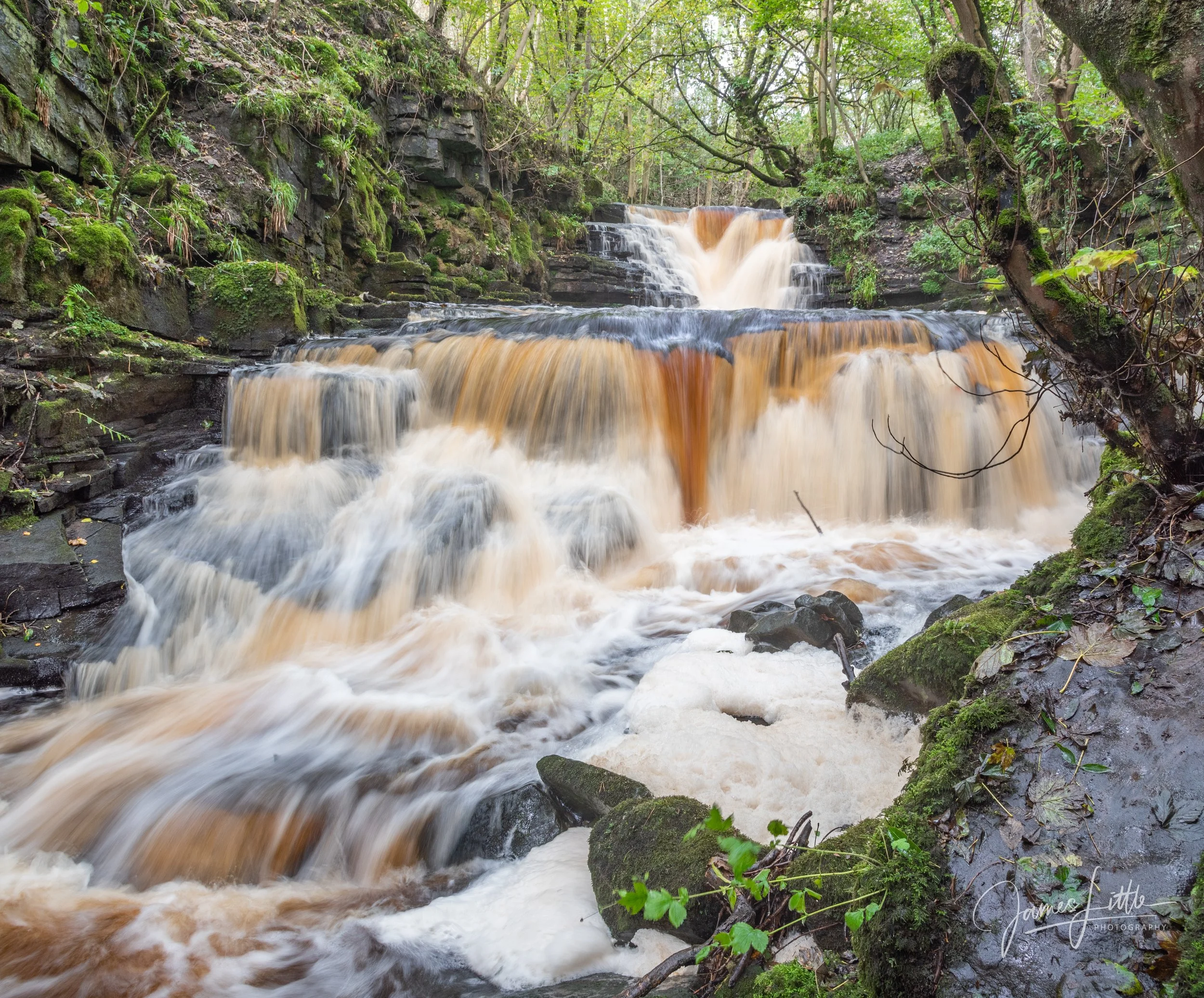 Slit Woods near Westgate, County Durham