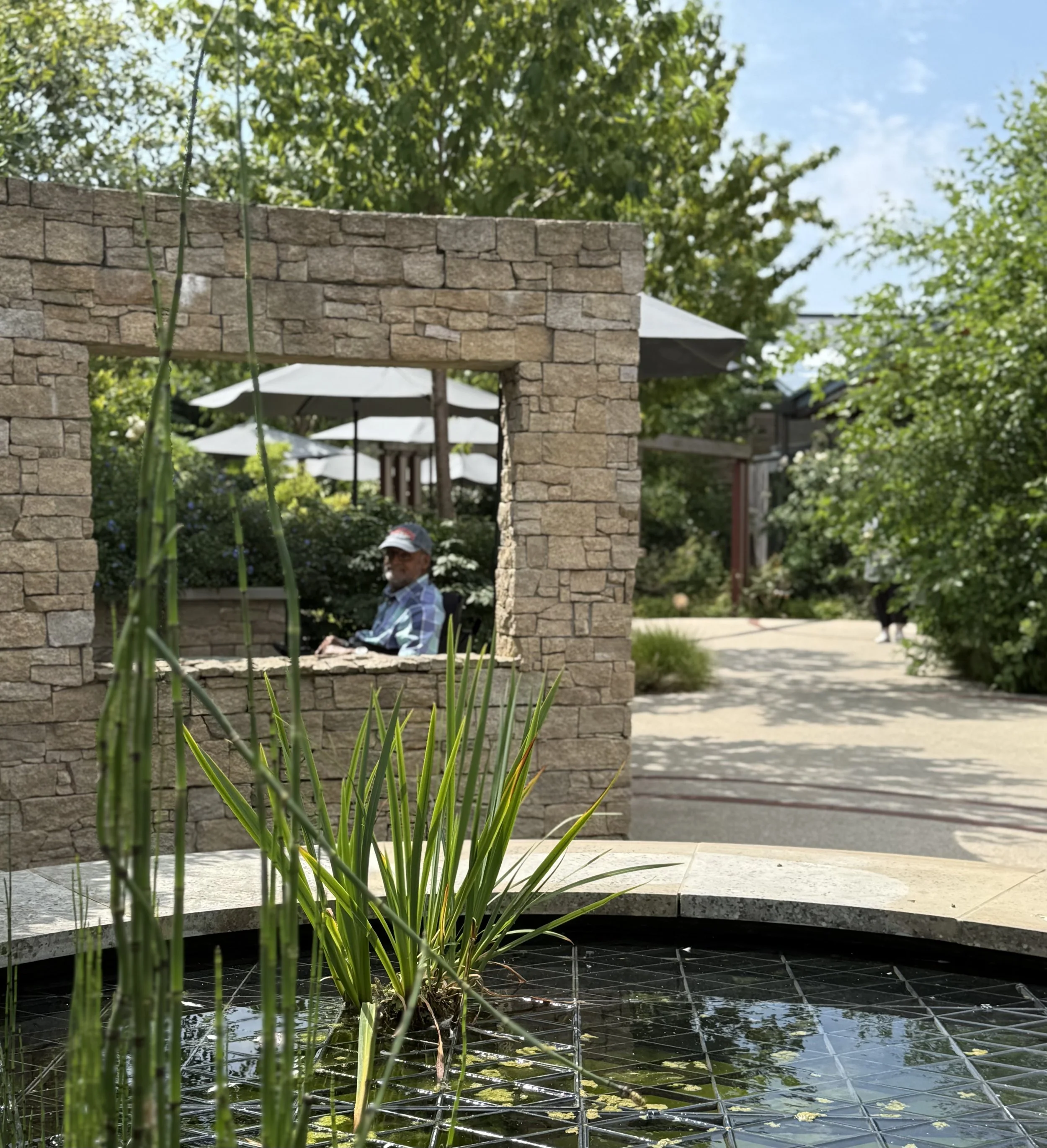Horatio’s Garden