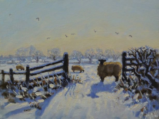 A snowy rural landscape with a fence, two cows, and birds flying in the sky during winter.