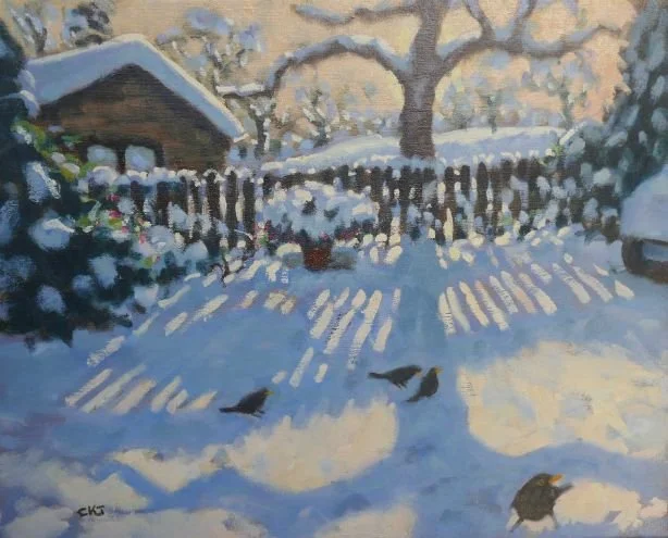 Snow-covered backyard with a large leafless tree, a wooden fence, and a small shed. Four birds are on the snow, and sunlight casts long shadows.