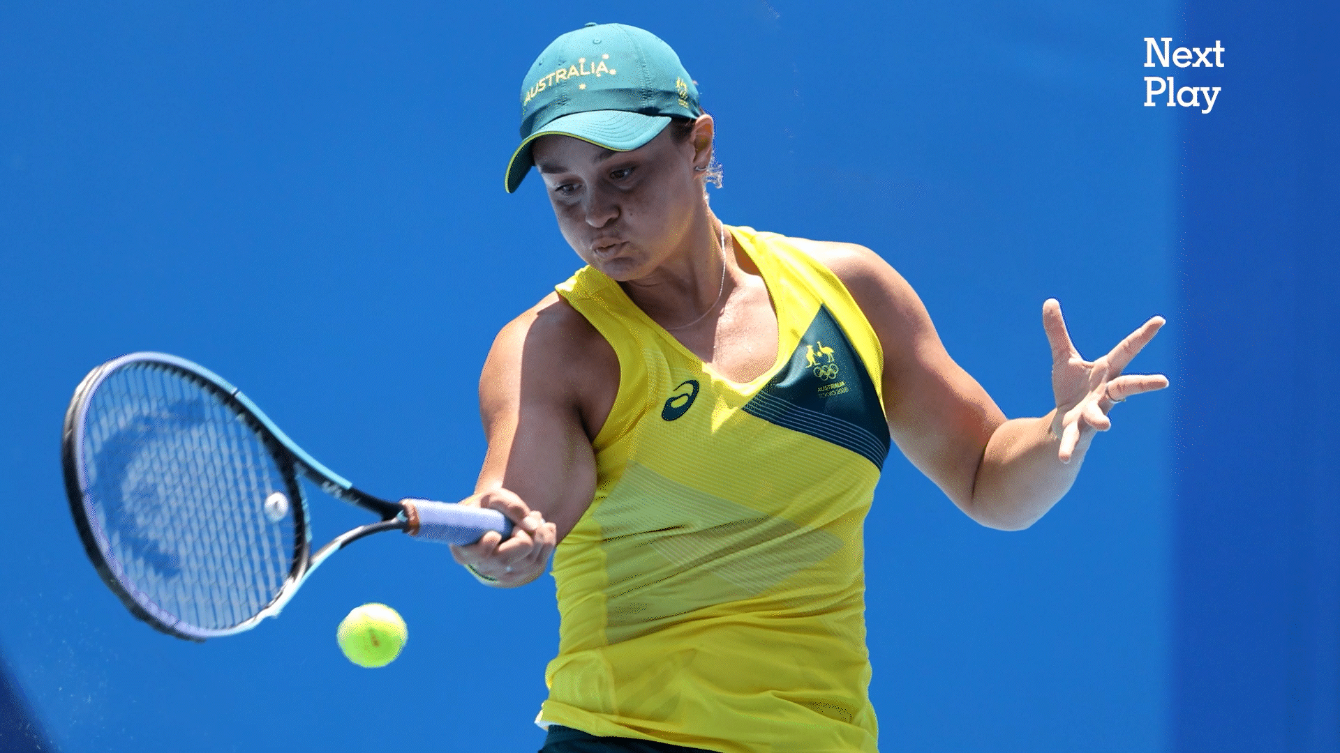 New Collar_Eich_FINAL_10.gif