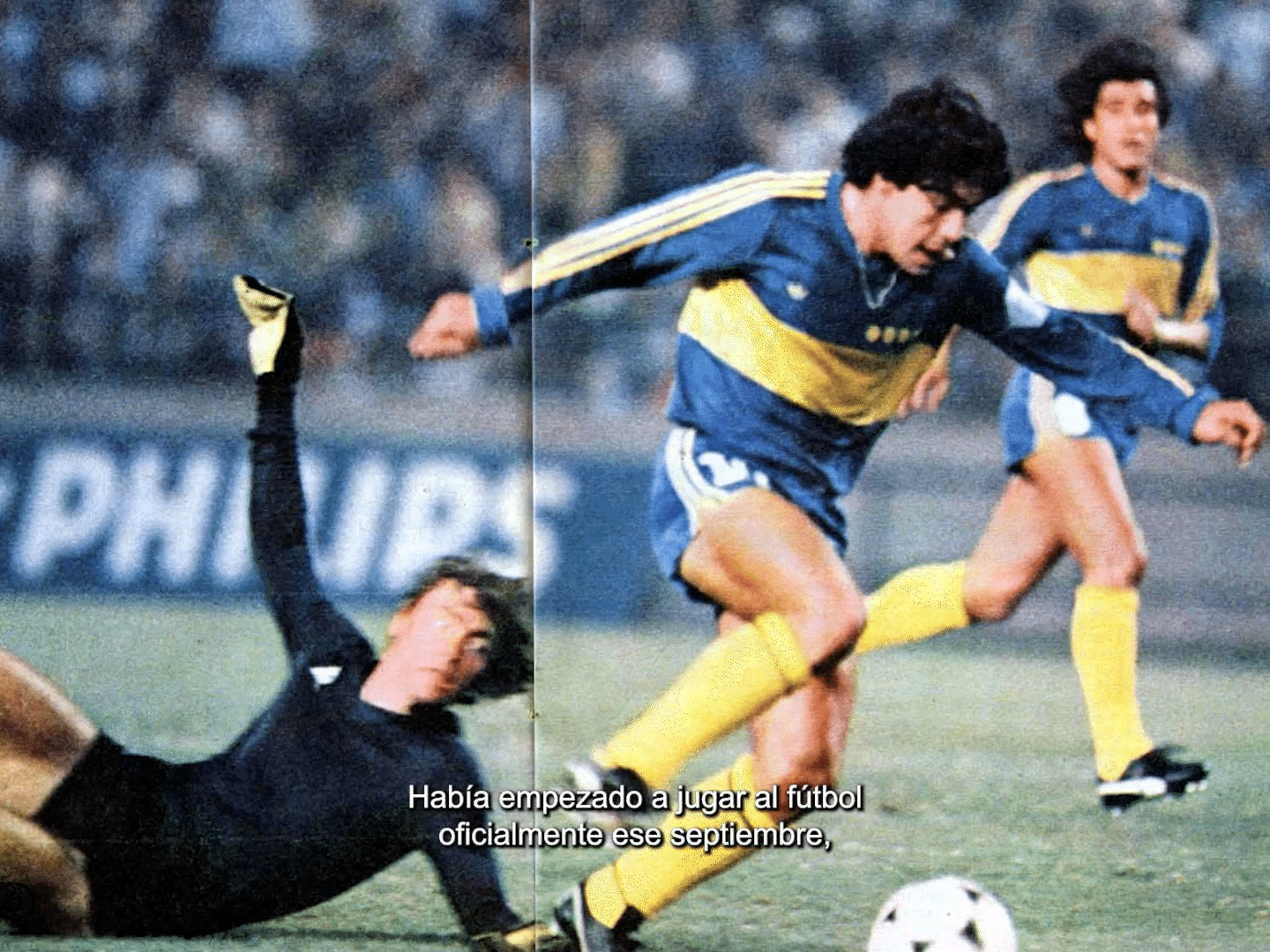 New Collar_Eich_FINAL_7_2.gif