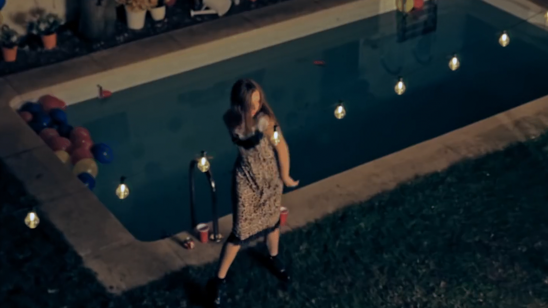 New Collar_Eich_FINAL_12_6.gif