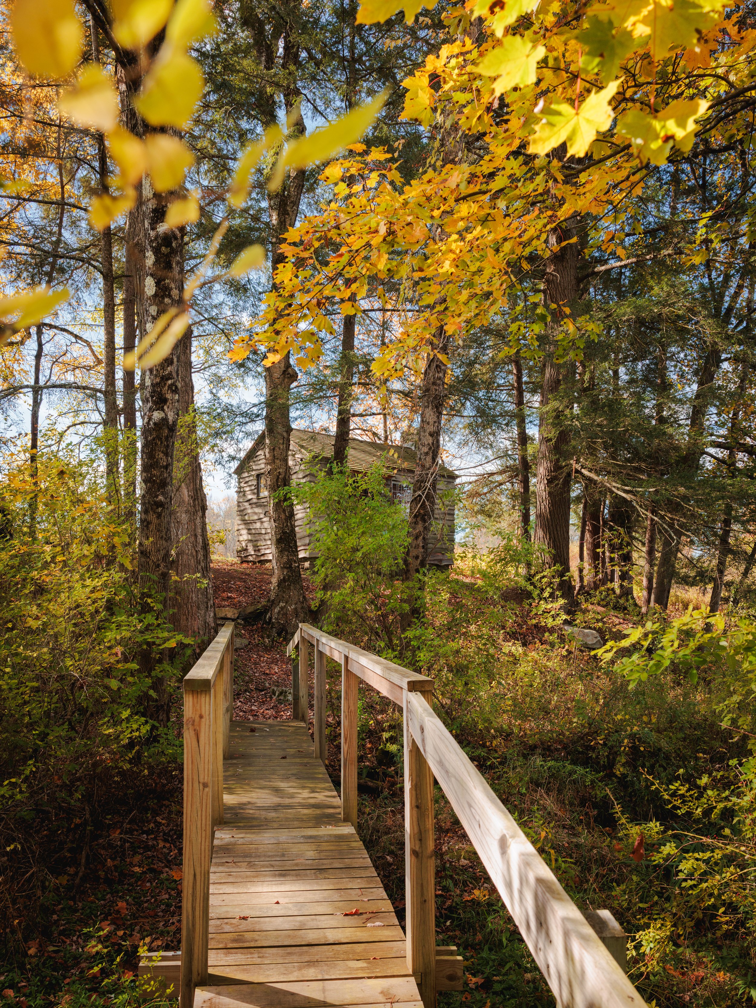 2025.10_MA_CGB.James Weldon Johnson Writing Cabin-6774.jpg