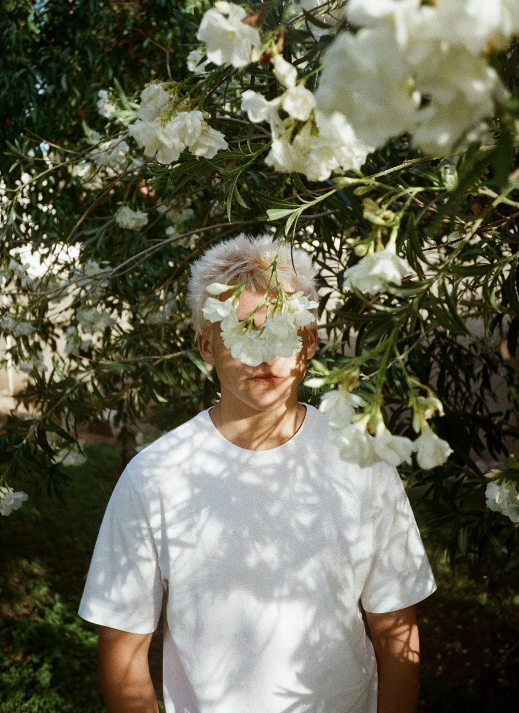 A person with light blonde hair stands outdoors under a tree with white flowers. The person's face is partially obscured by a branch, and shadows of the flowers and leaves are cast on their white t-shirt.