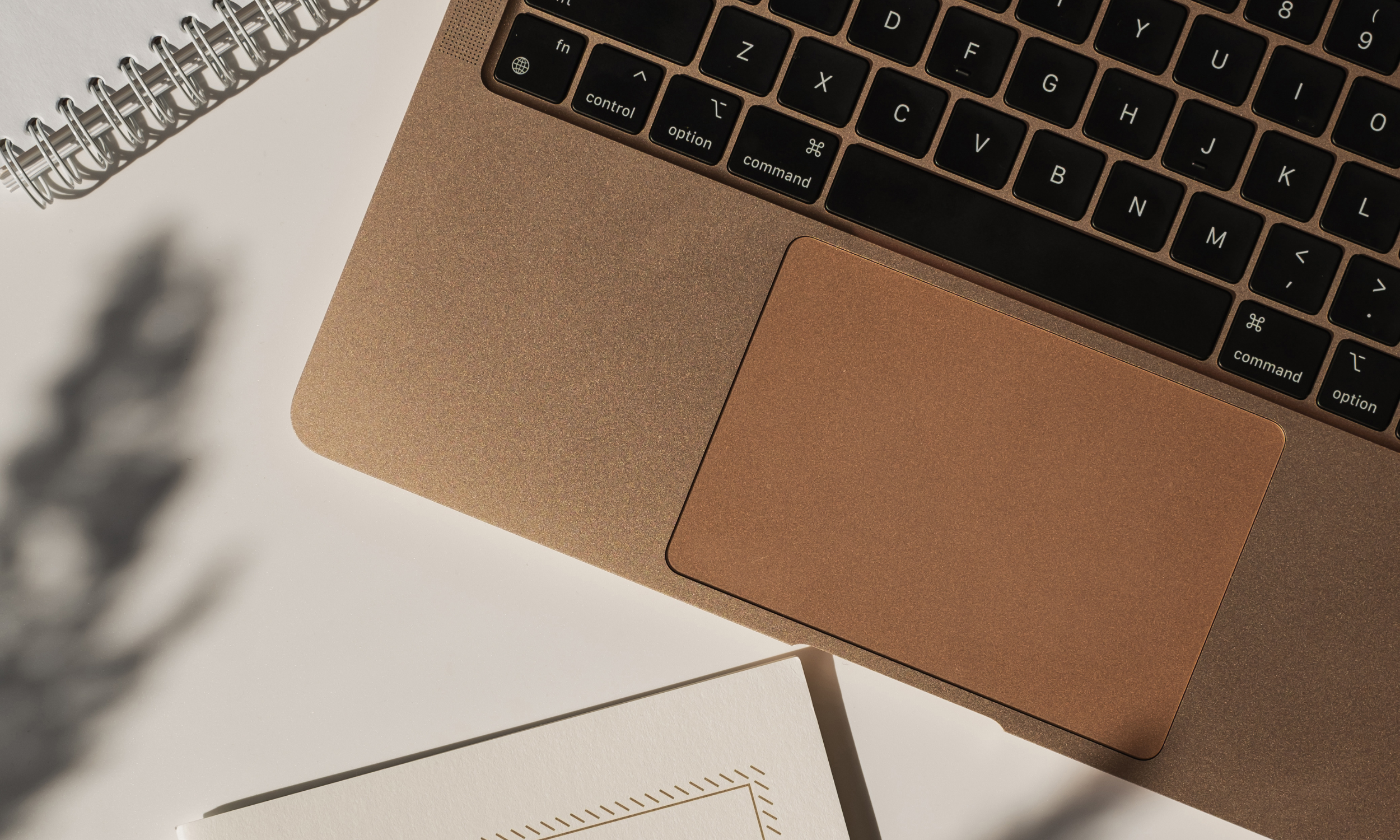 Laptop and notebook flatlay image of a women in career