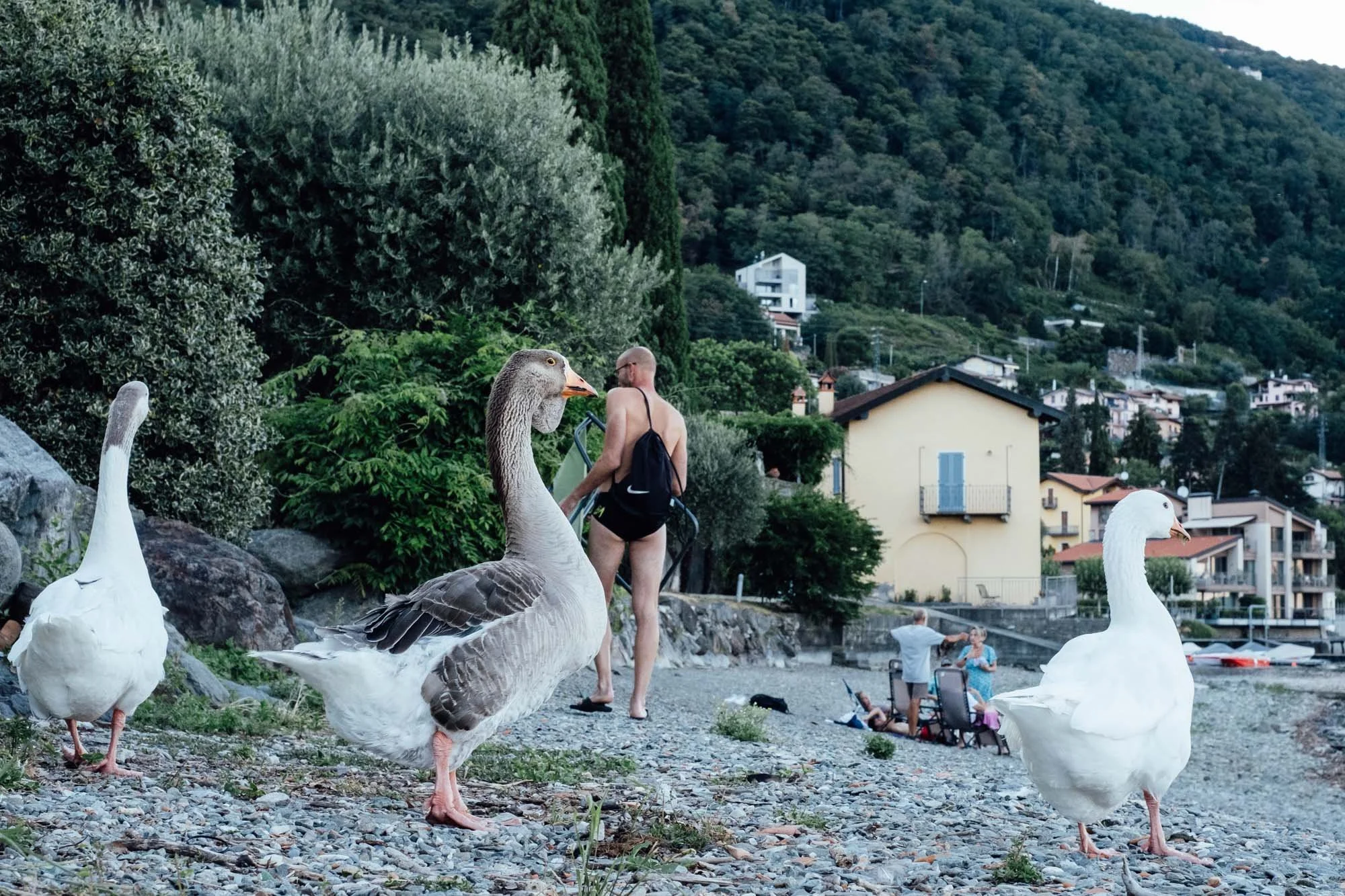 032Colour for iPad.jpg