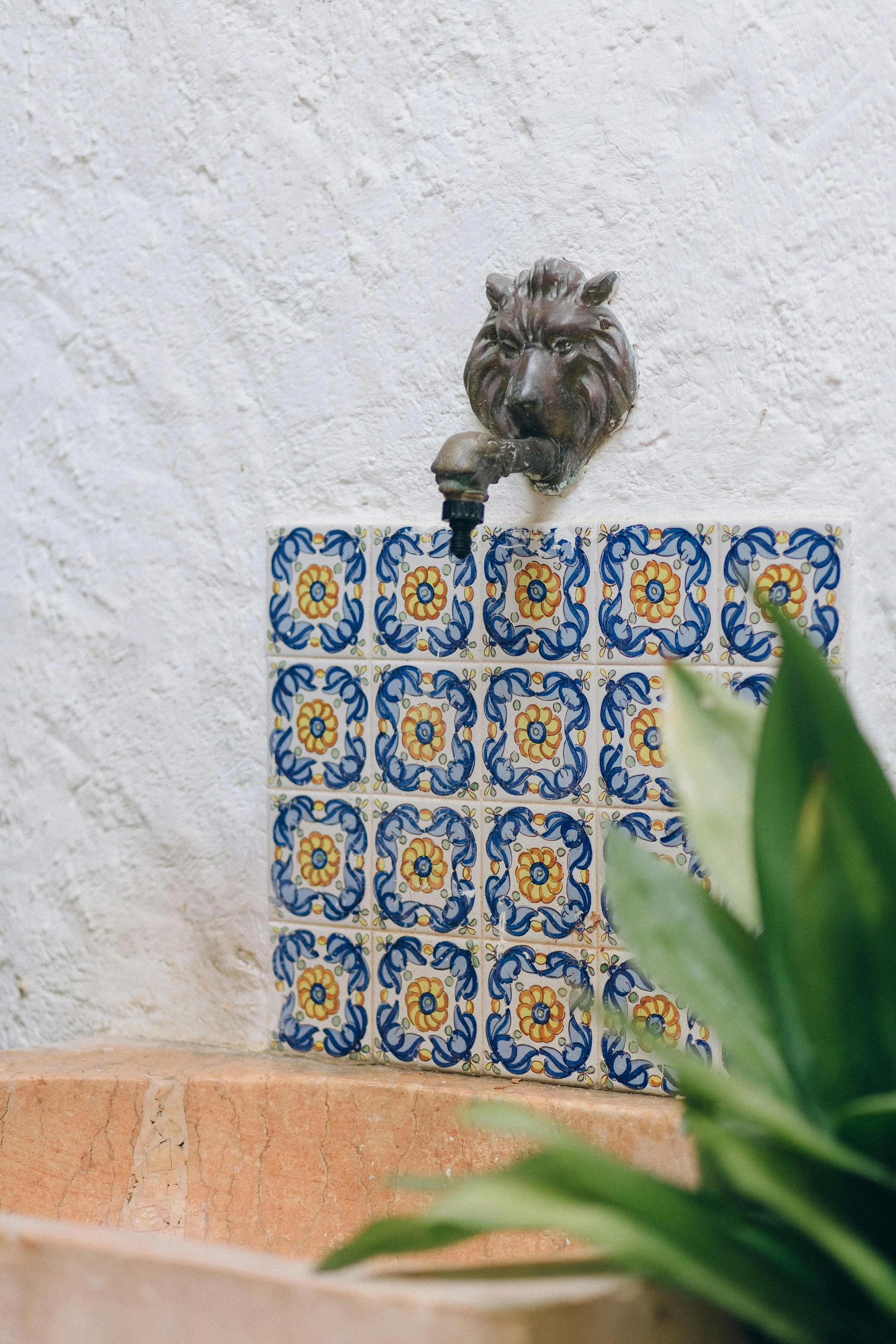 A lion head fountain spout above a decorative tile wall with blue and yellow patterns, partially obscured by green leaves in the foreground.