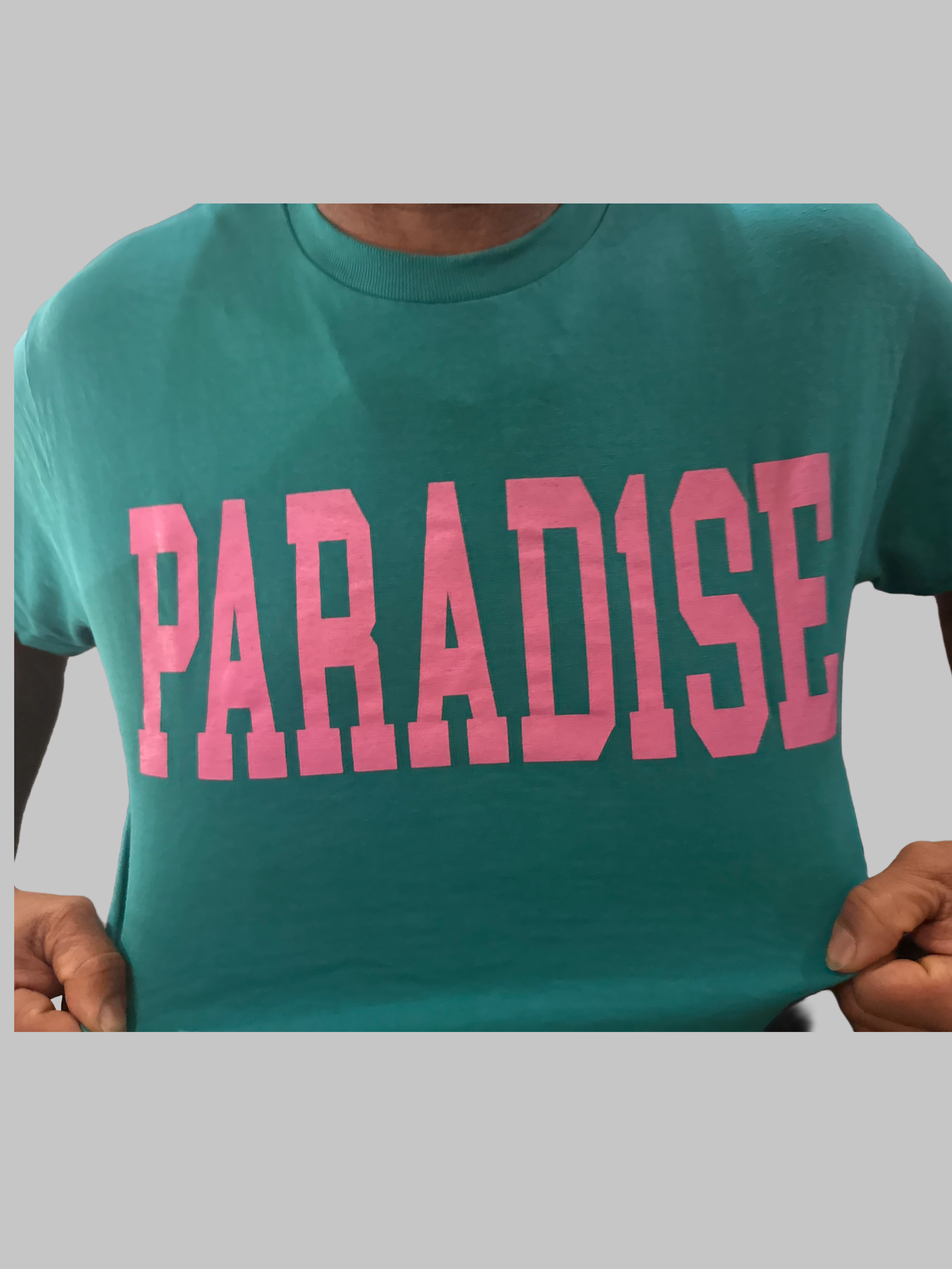 Teal_paradise2pinkletters.png