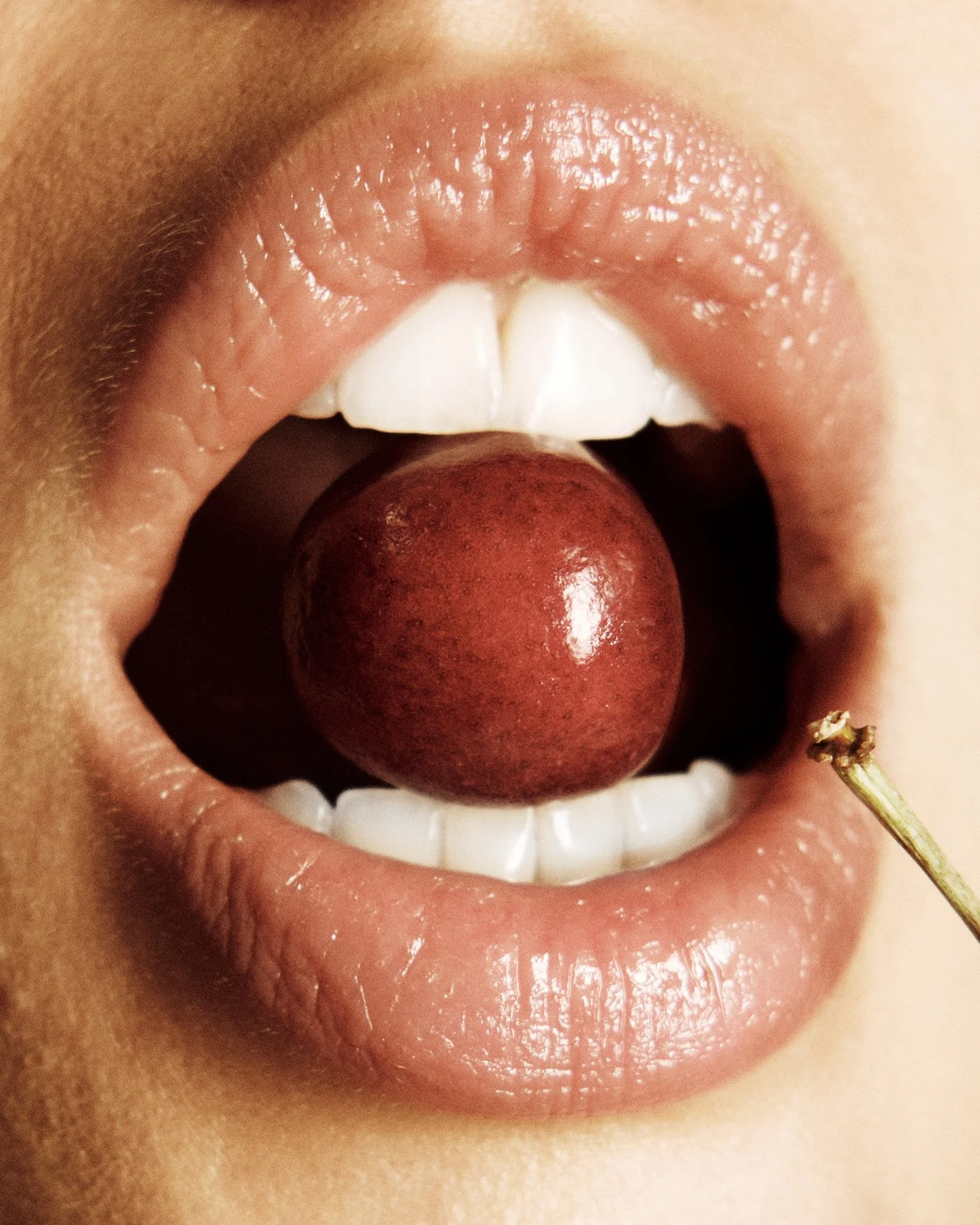 DSCF6225_Full Resolution_1472x1840_U_0.jpg