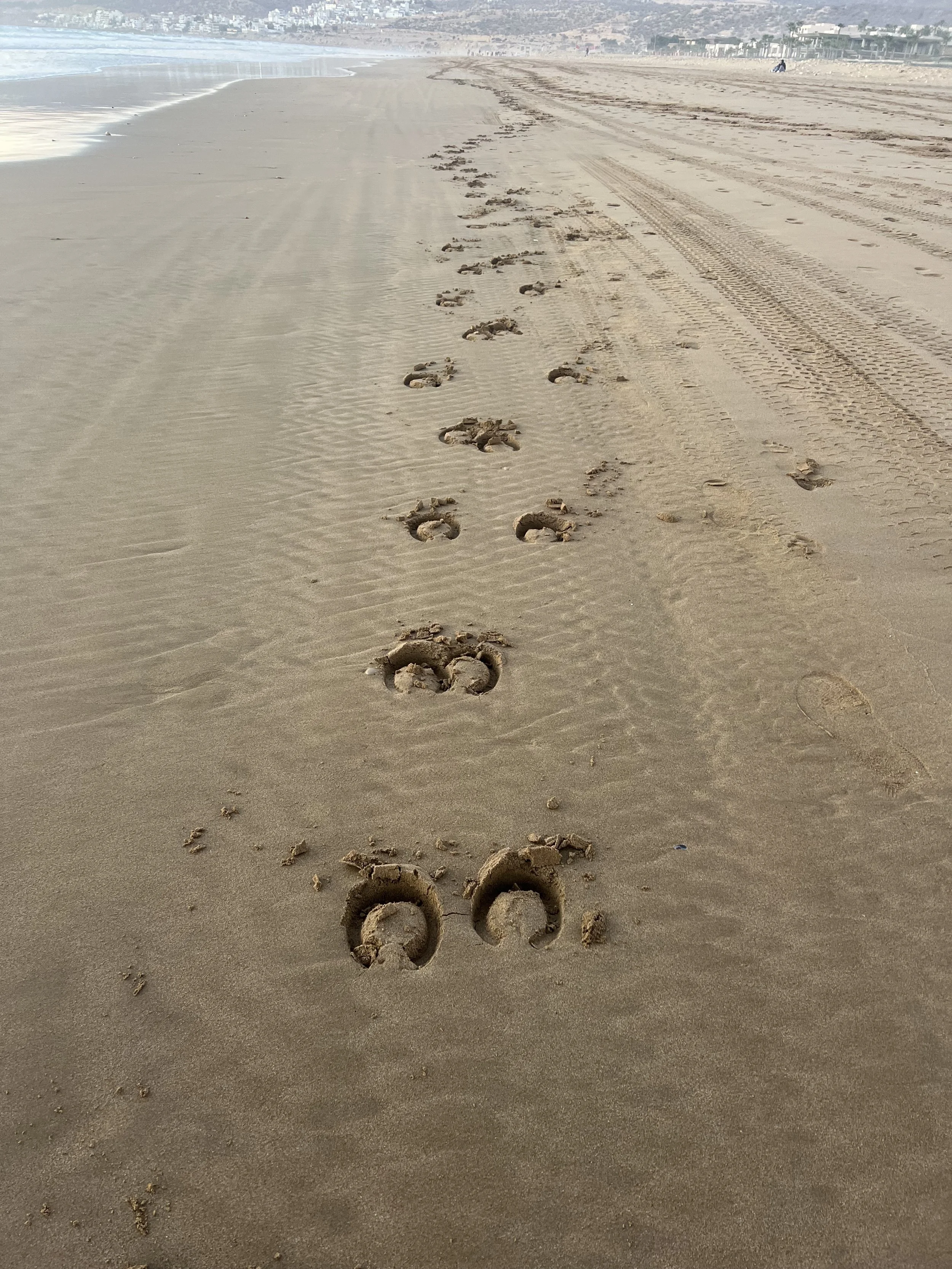 Footprints in the sand along a beach, leading towards distant buildings and a cloudy sky.