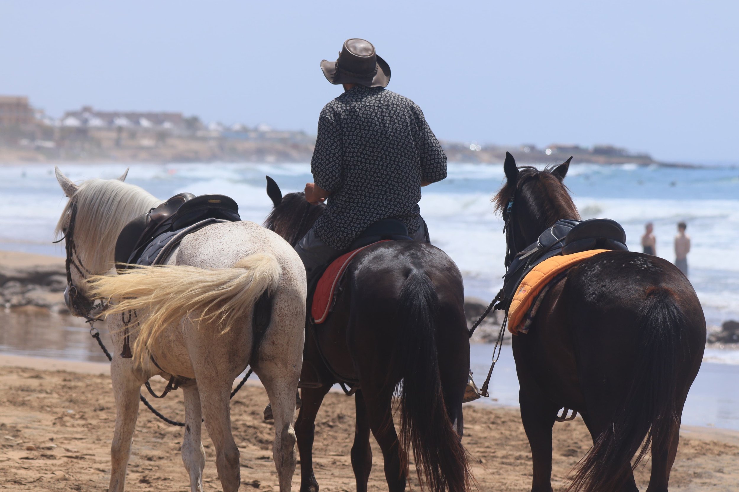 Person riding three horses on a beach, with ocean waves and buildings in the background.
