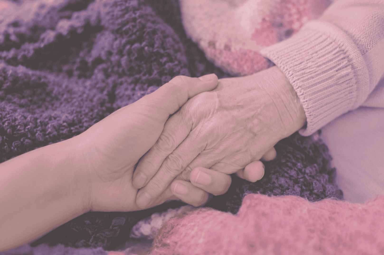 A person with a younger hand holding the hand of an elderly person with wrinkled skin, on a soft pink surface. The elderly person is wearing a pink sweater.