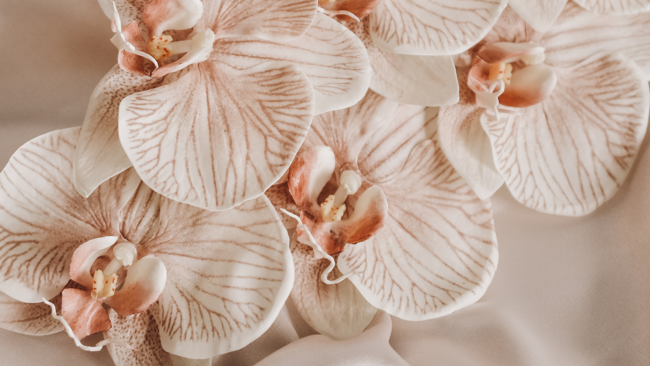 Close-up of multiple pale pink and white orchid flowers with striped petals and detailed centers, on a beige background.