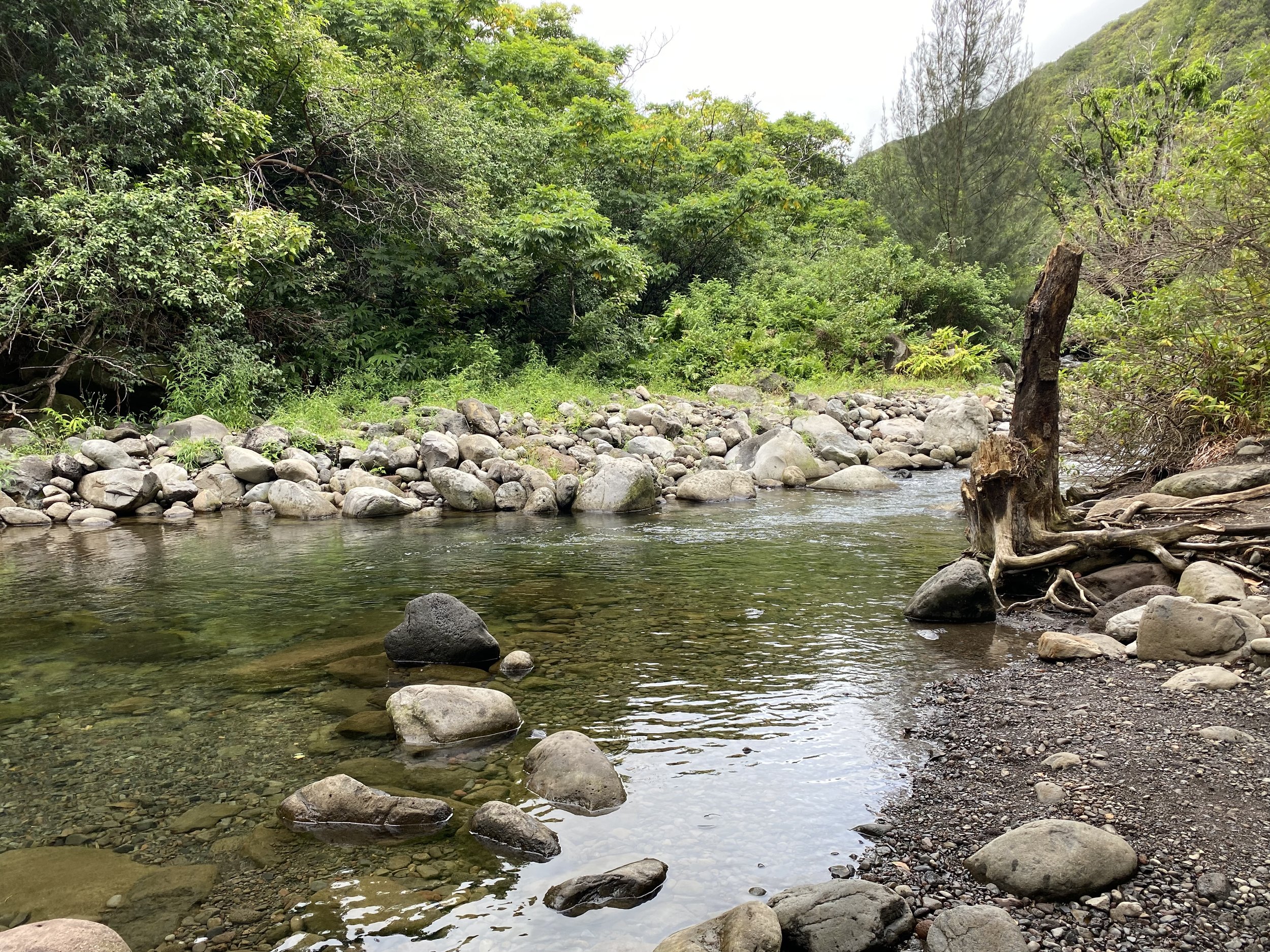 Book research on Maui